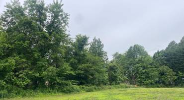 GIBEON RD, CALLAO, Virginia 22435, ,Land,For sale,GIBEON RD,VANV2001598 MLS # VANV2001598