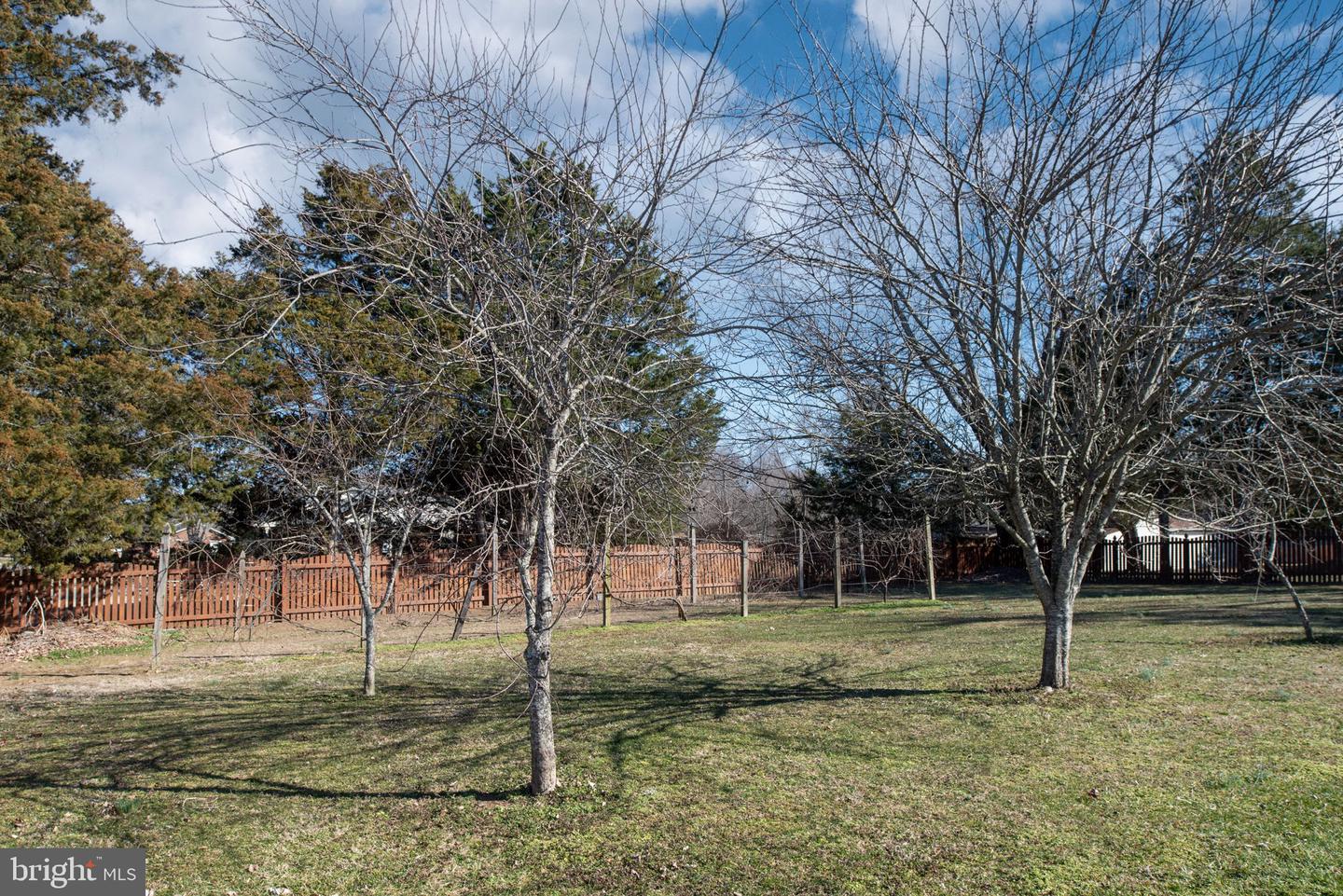 348 POPLAR RD, FREDERICKSBURG, Virginia 22406, 4 Bedrooms Bedrooms, ,2 BathroomsBathrooms,Residential,For sale,348 POPLAR RD,VAST2037828 MLS # VAST2037828