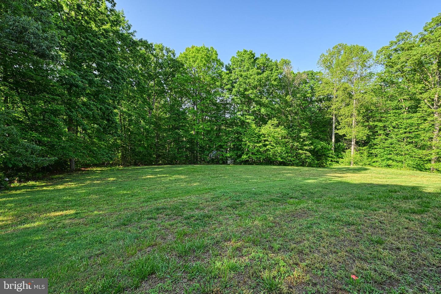 520 OAK GROVE DR, MINERAL, Virginia 23117, 6 Bedrooms Bedrooms, ,4 BathroomsBathrooms,Residential,For sale,520 OAK GROVE DR,VALA2007708 MLS # VALA2007708