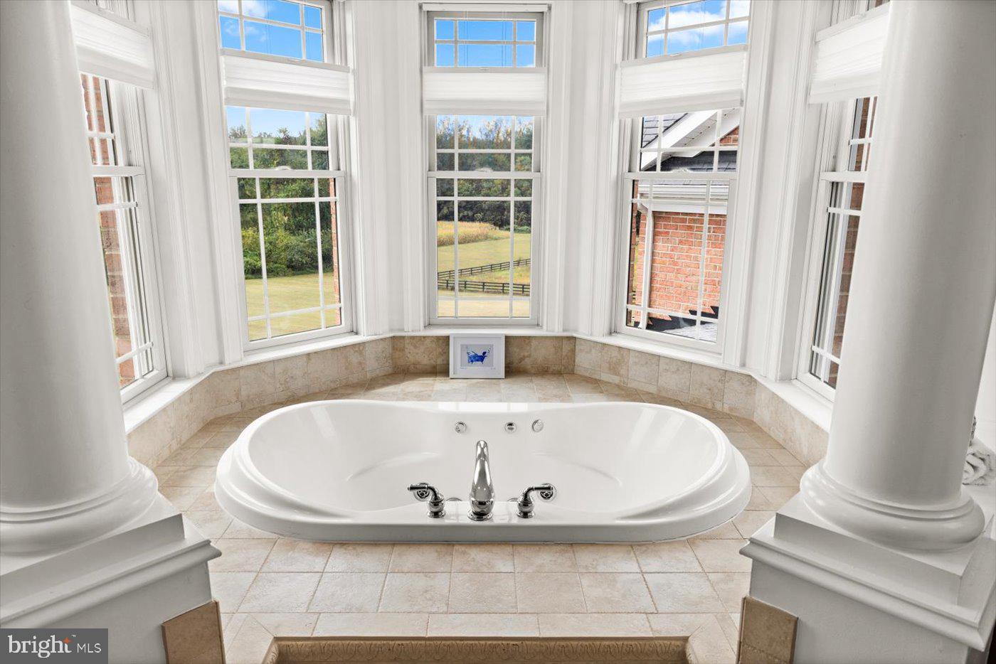 10150 HEDRICK FARM LN, MIDLAND, Virginia 22728, 7 Bedrooms Bedrooms, ,6 BathroomsBathrooms,Residential,For sale,10150 HEDRICK FARM LN,VAFQ2016418 MLS # VAFQ2016418