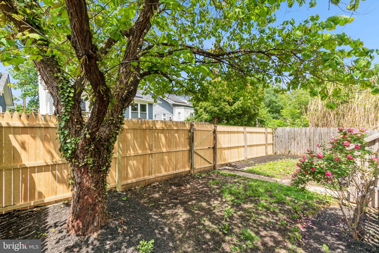 6514 7TH PL NW, WASHINGTON, District Of Columbia 20012, 3 Bedrooms Bedrooms, ,2 BathroomsBathrooms,Residential,For sale,6514 7TH PL NW,DCDC2198704 MLS # DCDC2198704