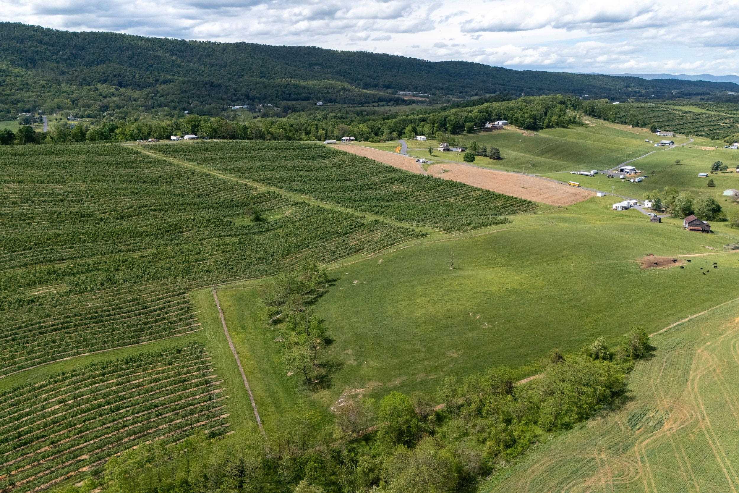TBD VETTERS RD, TIMBERVILLE, Virginia 22853, ,Land,TBD VETTERS RD,664547 MLS # 664547