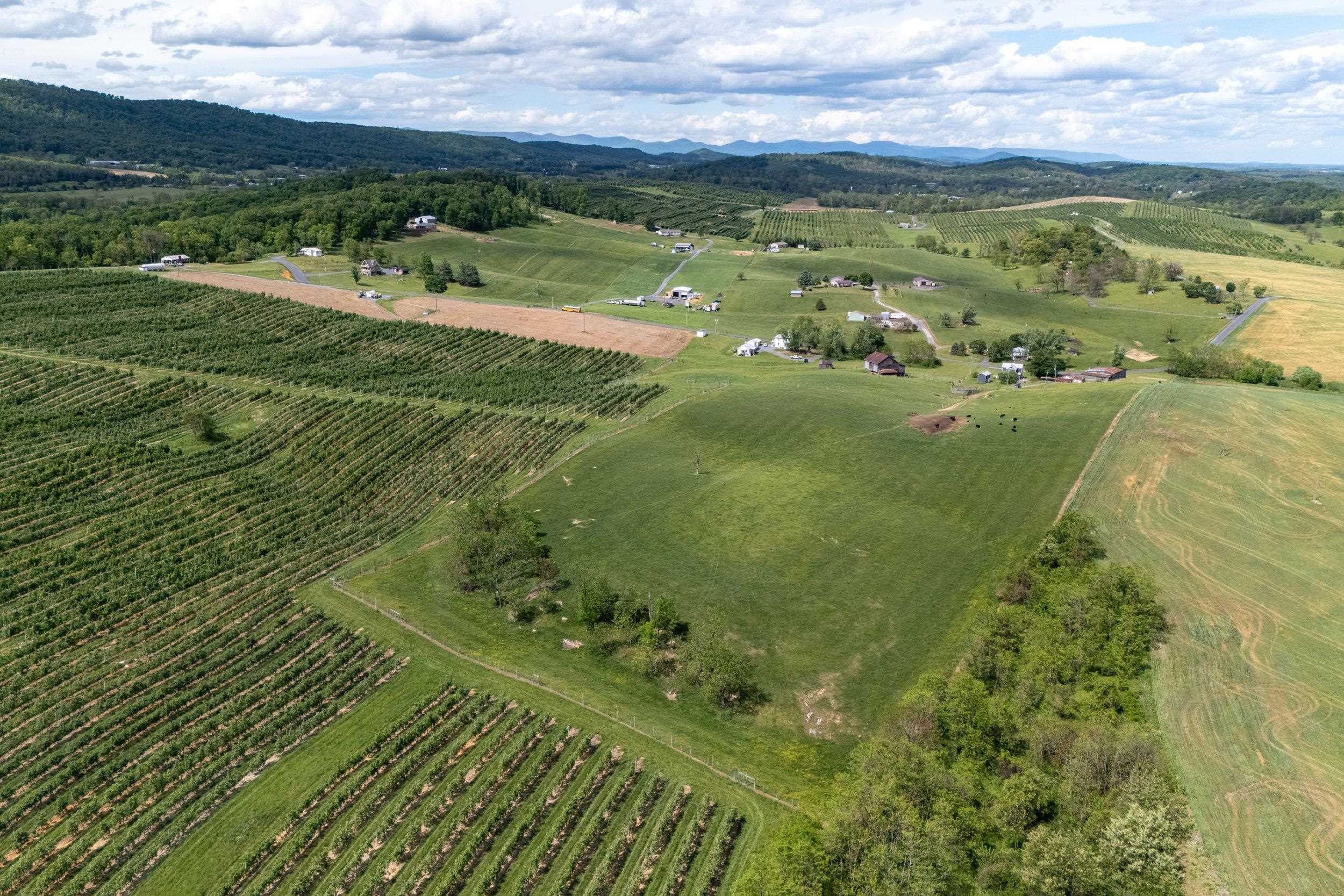 TBD VETTERS RD, TIMBERVILLE, Virginia 22853, ,Land,TBD VETTERS RD,664547 MLS # 664547