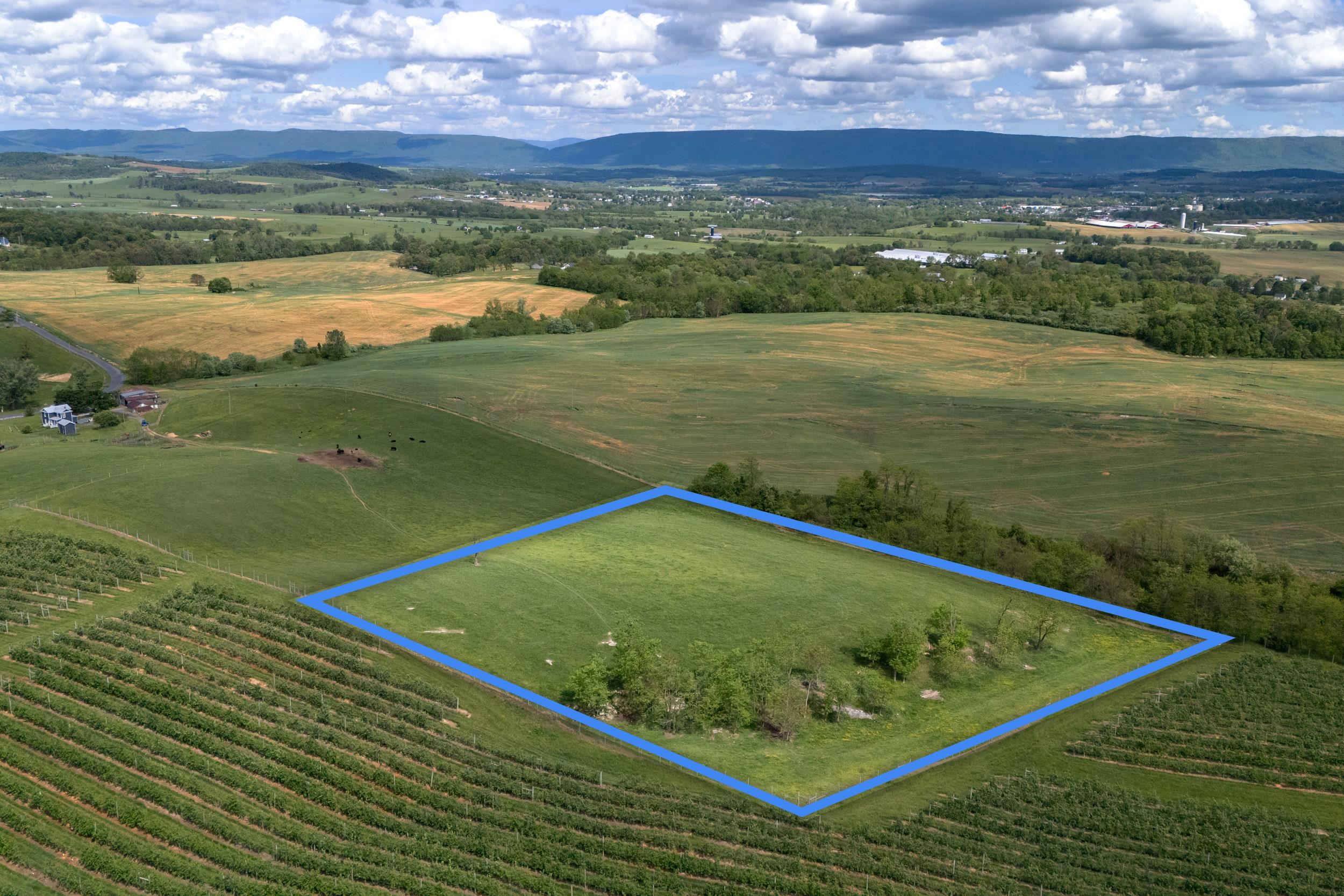 TBD VETTERS RD, TIMBERVILLE, Virginia 22853, ,Land,TBD VETTERS RD,664547 MLS # 664547