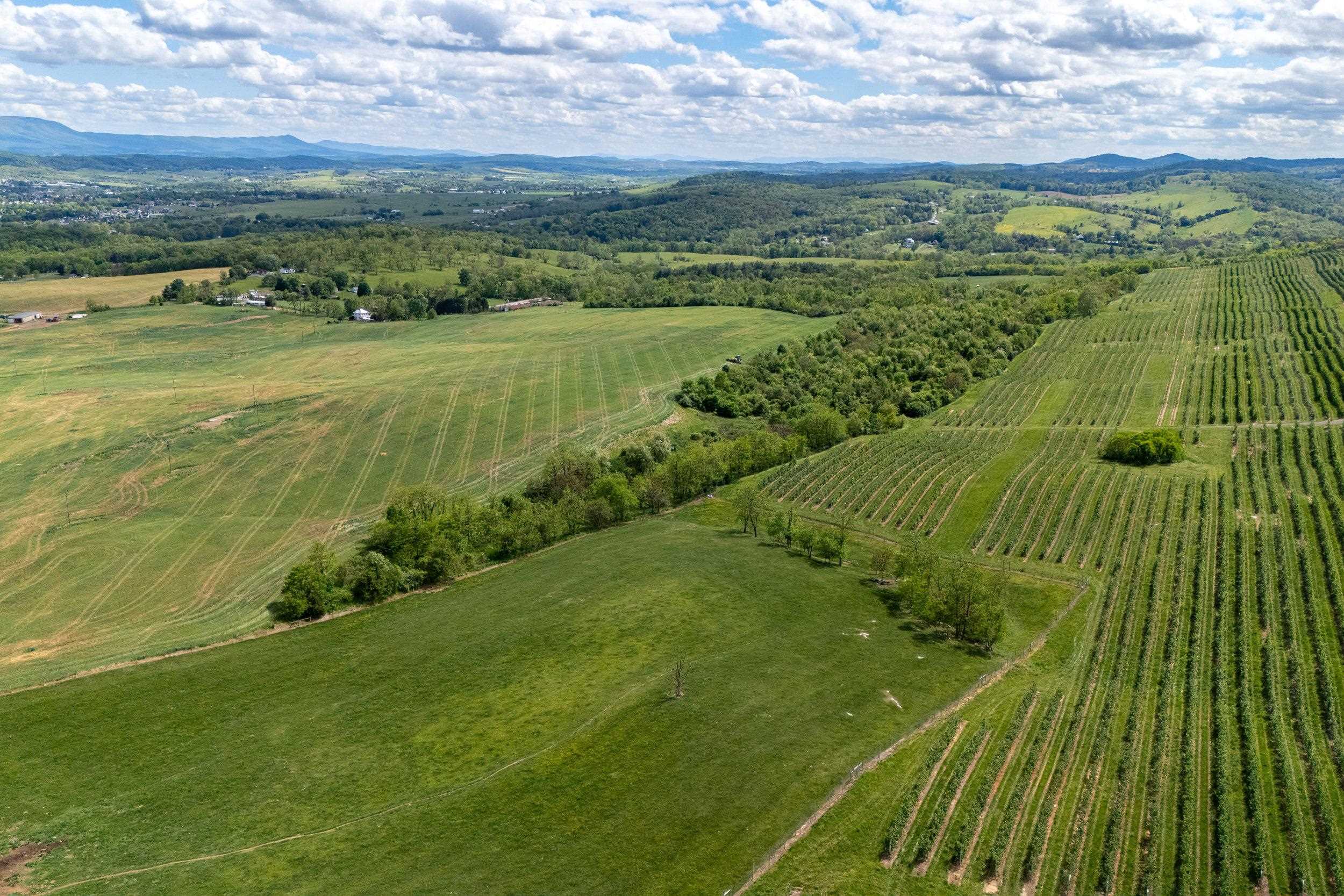 TBD VETTERS RD, TIMBERVILLE, Virginia 22853, ,Land,TBD VETTERS RD,664547 MLS # 664547