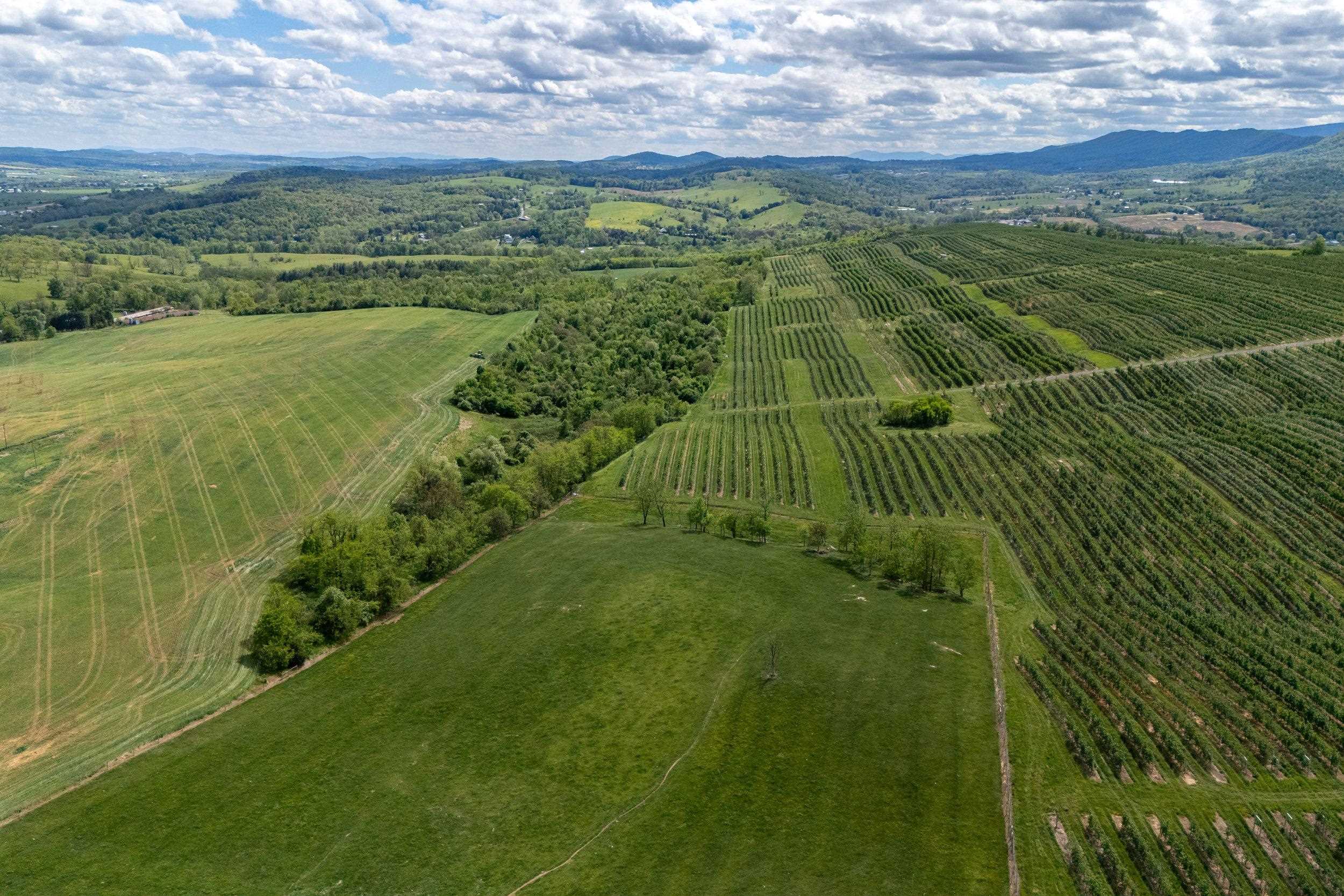 TBD VETTERS RD, TIMBERVILLE, Virginia 22853, ,Land,TBD VETTERS RD,664547 MLS # 664547