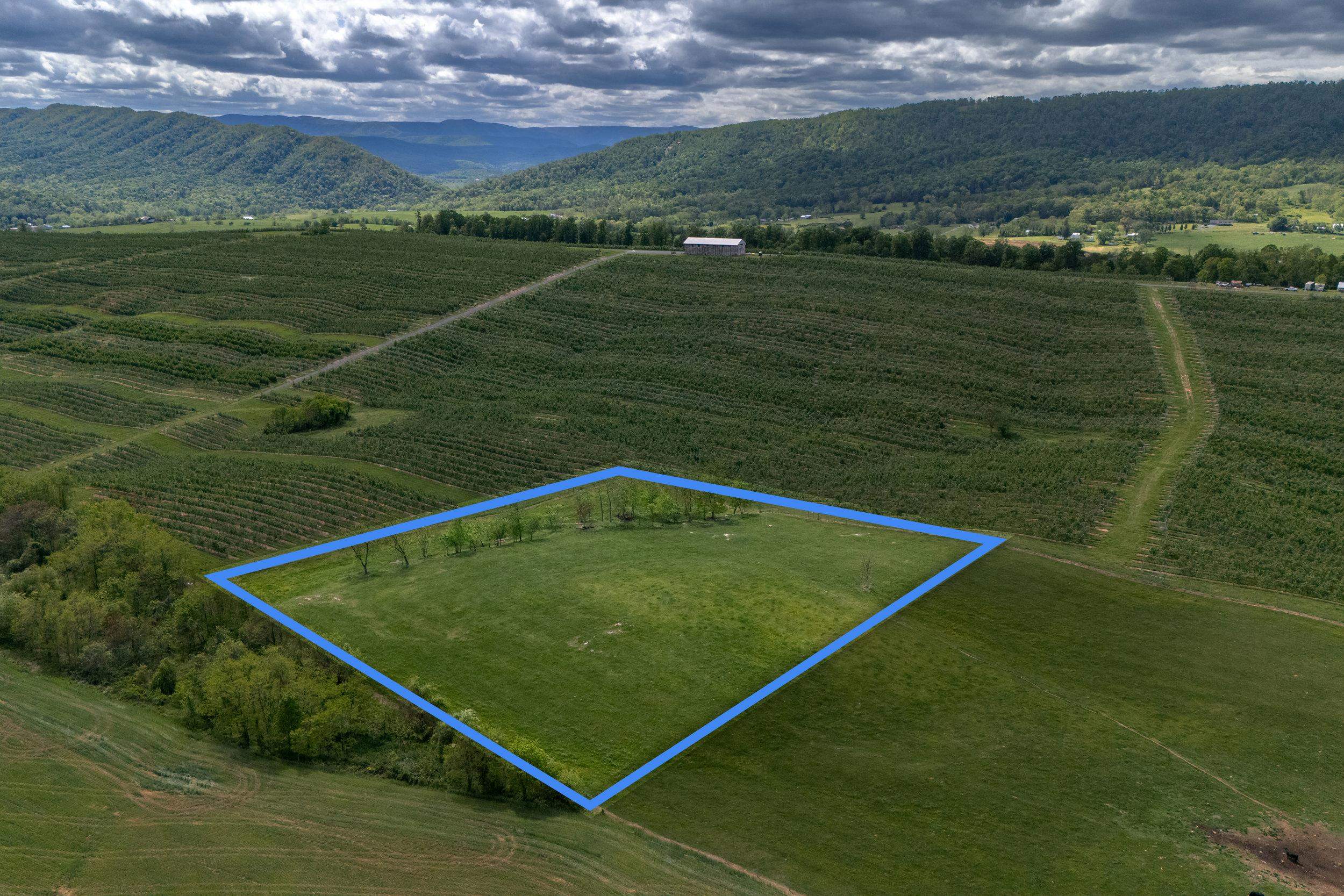 TBD VETTERS RD, TIMBERVILLE, Virginia 22853, ,Land,TBD VETTERS RD,664547 MLS # 664547