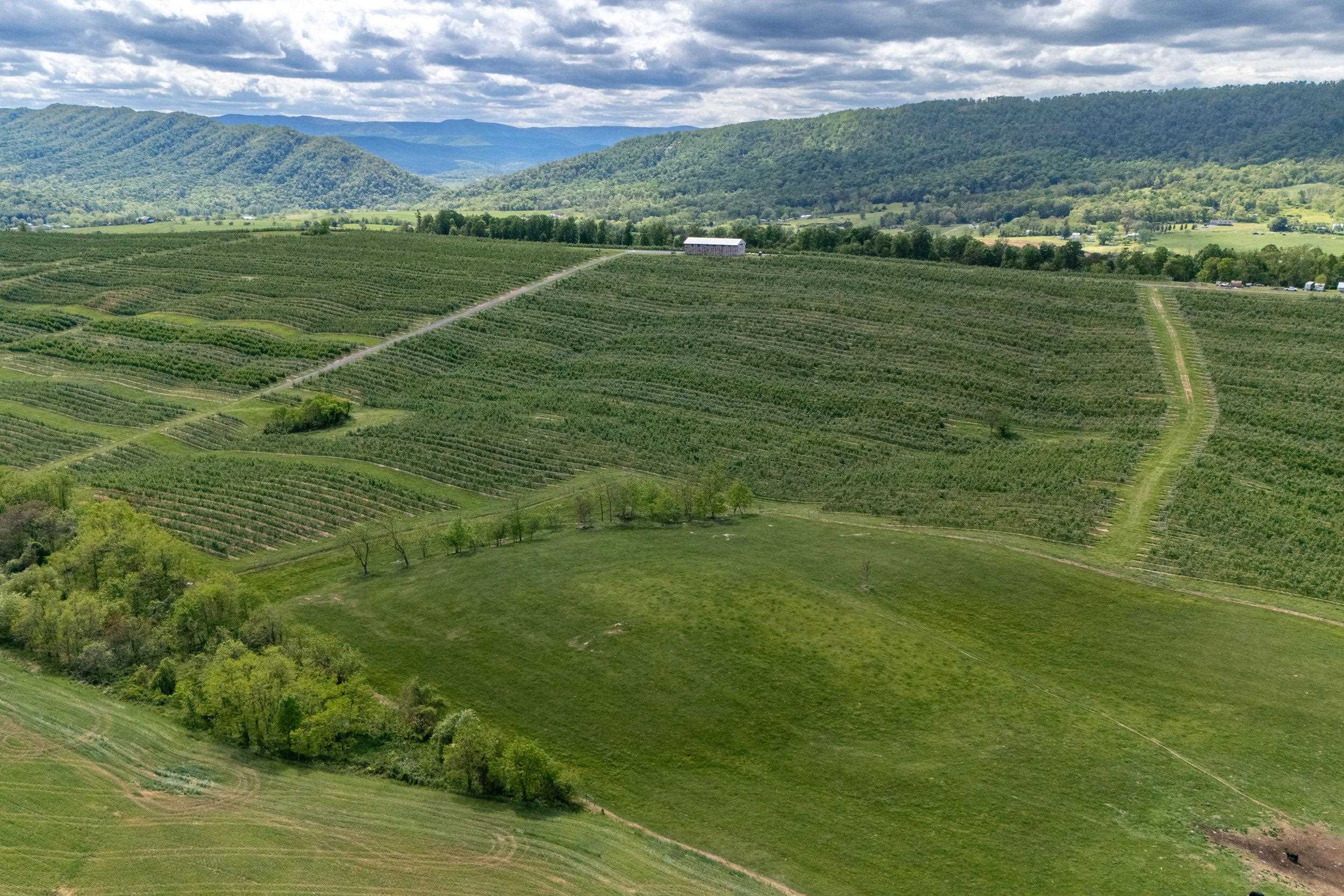 TBD VETTERS RD, TIMBERVILLE, Virginia 22853, ,Land,TBD VETTERS RD,664547 MLS # 664547