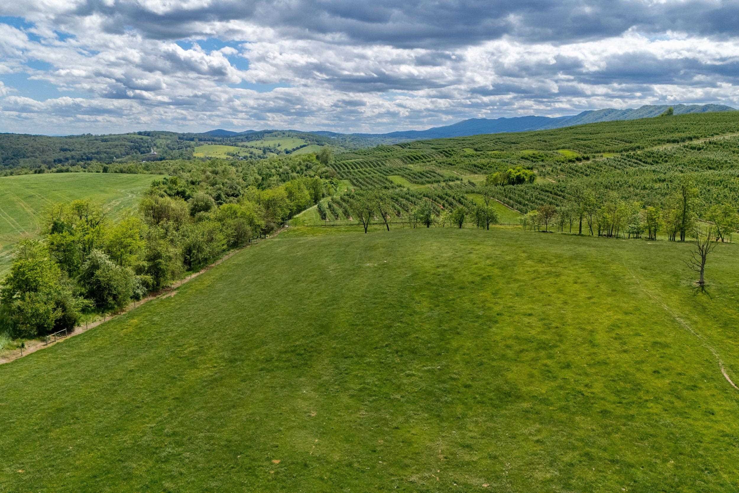 TBD VETTERS RD, TIMBERVILLE, Virginia 22853, ,Land,TBD VETTERS RD,664547 MLS # 664547