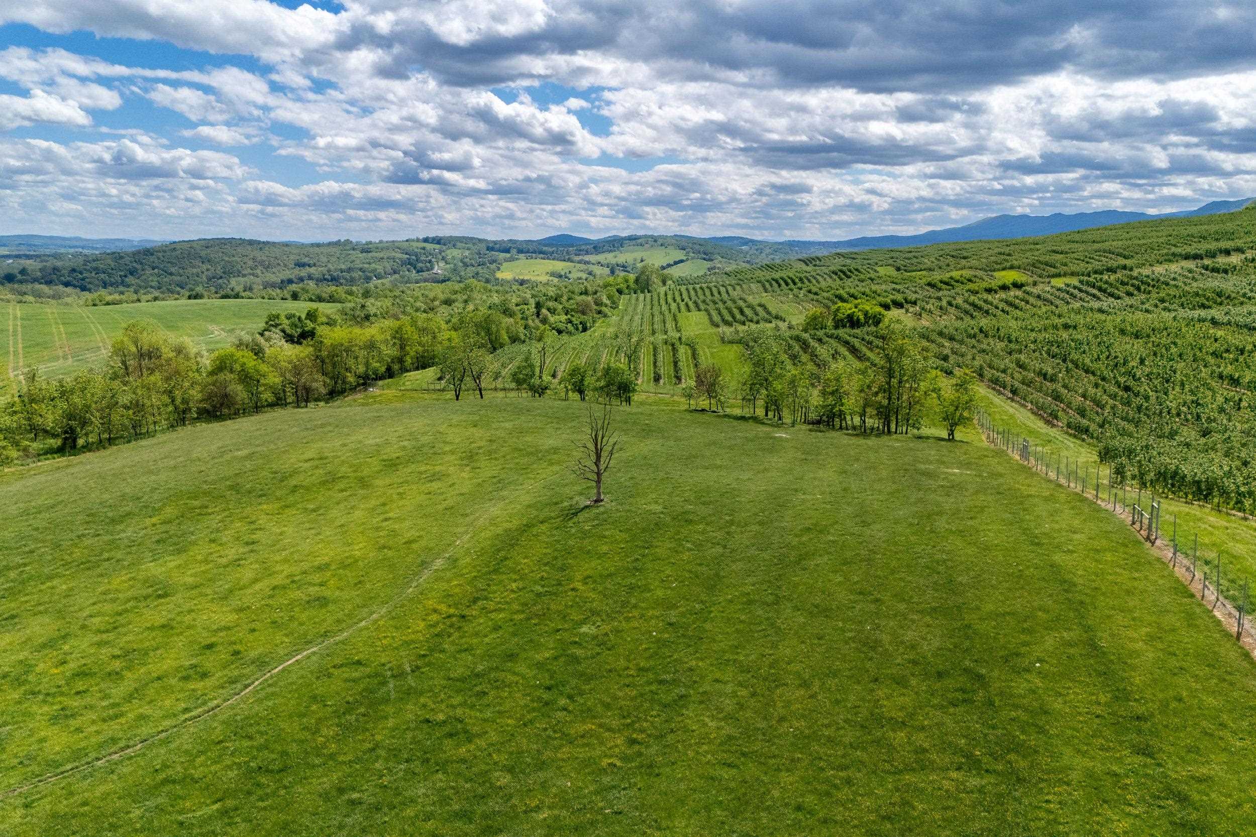 TBD VETTERS RD, TIMBERVILLE, Virginia 22853, ,Land,TBD VETTERS RD,664547 MLS # 664547