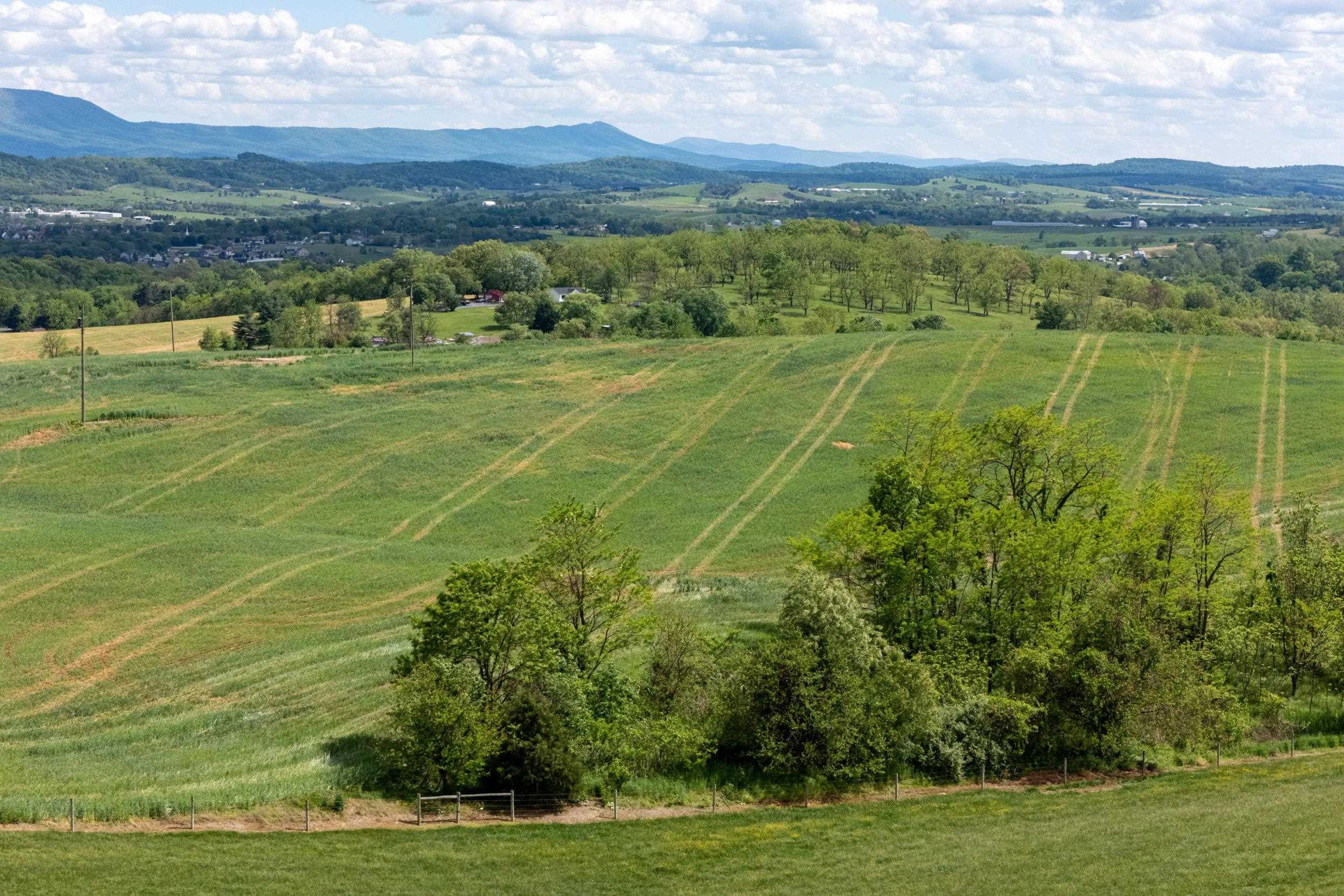 TBD VETTERS RD, TIMBERVILLE, Virginia 22853, ,Land,TBD VETTERS RD,664547 MLS # 664547