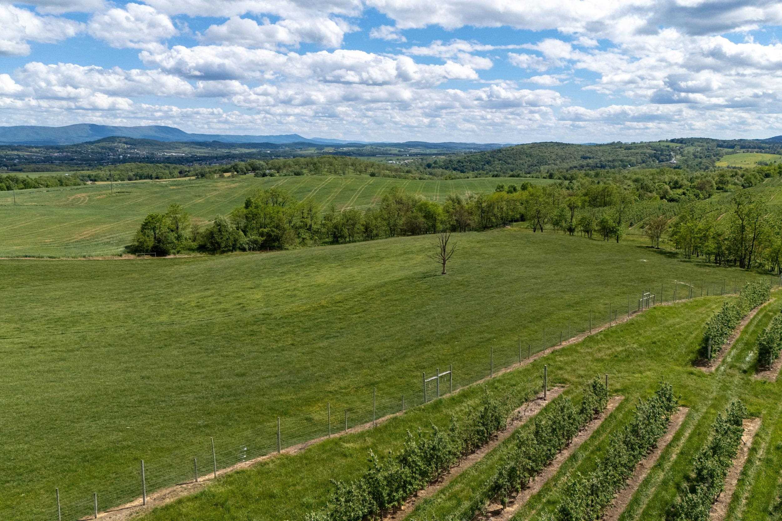 TBD VETTERS RD, TIMBERVILLE, Virginia 22853, ,Land,TBD VETTERS RD,664547 MLS # 664547