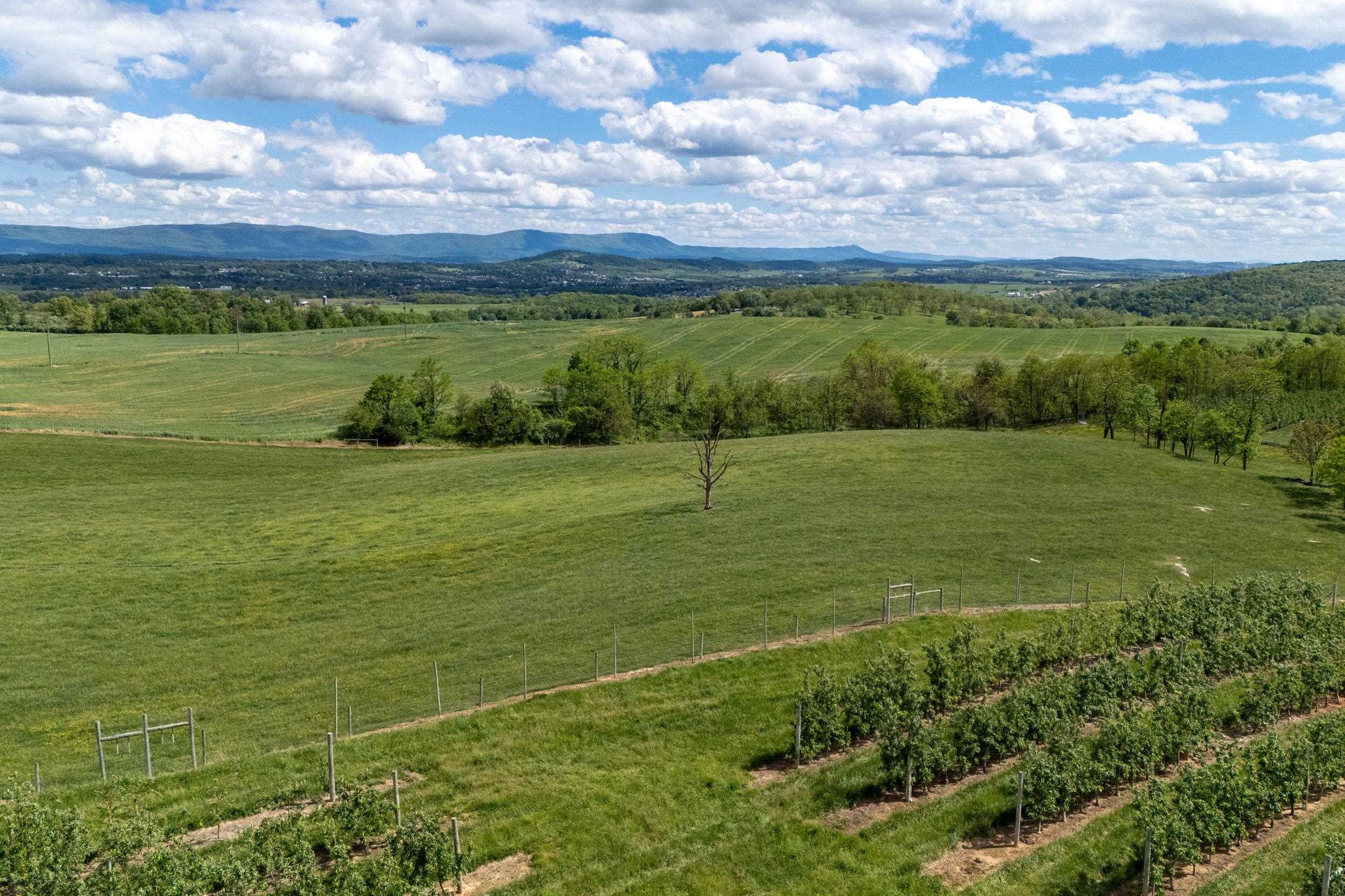 TBD VETTERS RD, TIMBERVILLE, Virginia 22853, ,Land,TBD VETTERS RD,664547 MLS # 664547
