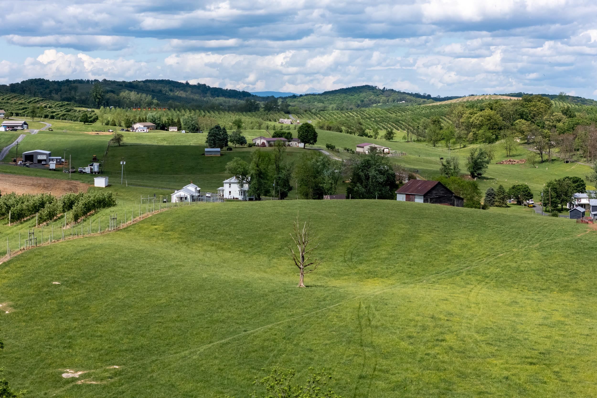 TBD VETTERS RD, TIMBERVILLE, Virginia 22853, ,Land,TBD VETTERS RD,664547 MLS # 664547