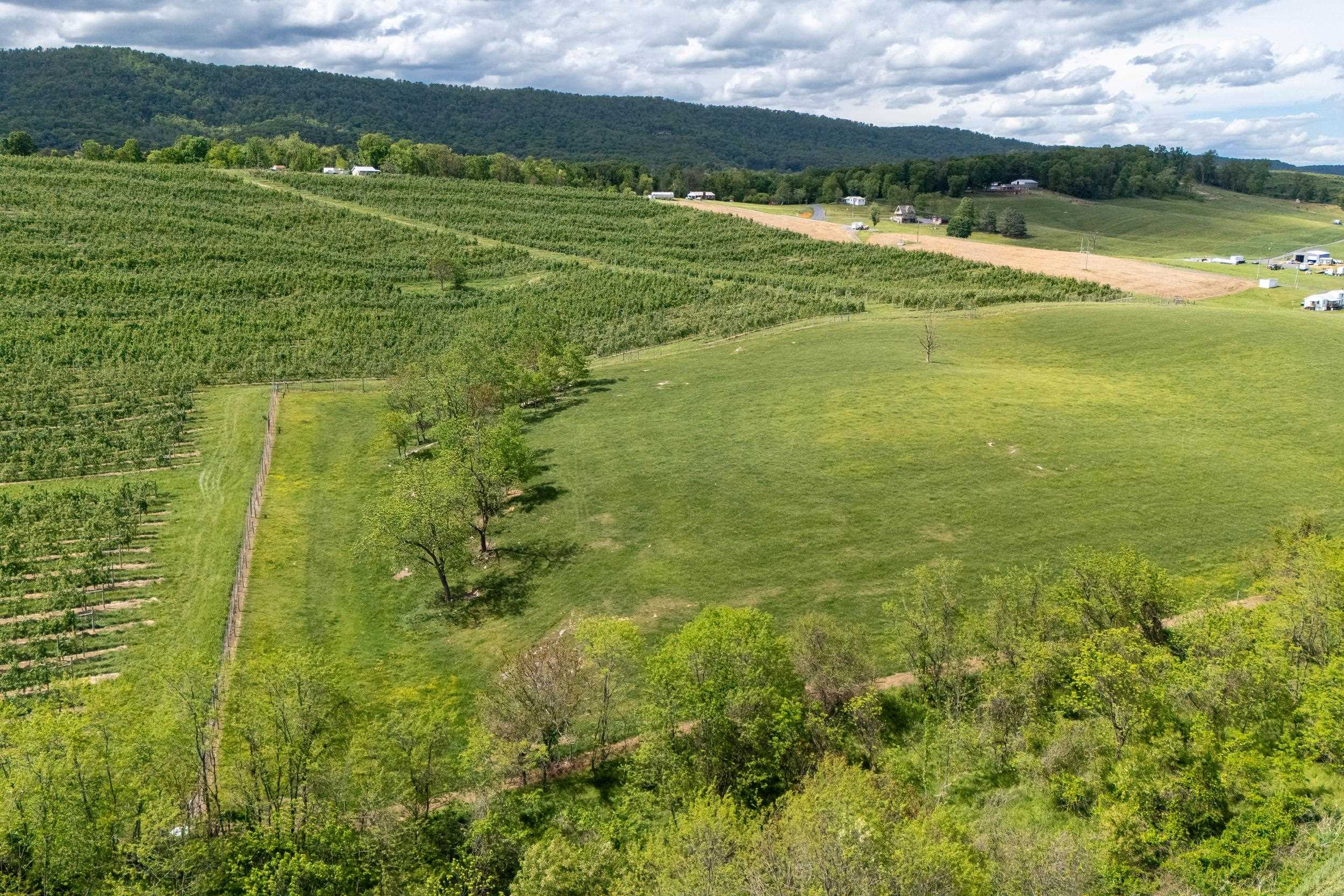 TBD VETTERS RD, TIMBERVILLE, Virginia 22853, ,Land,TBD VETTERS RD,664547 MLS # 664547