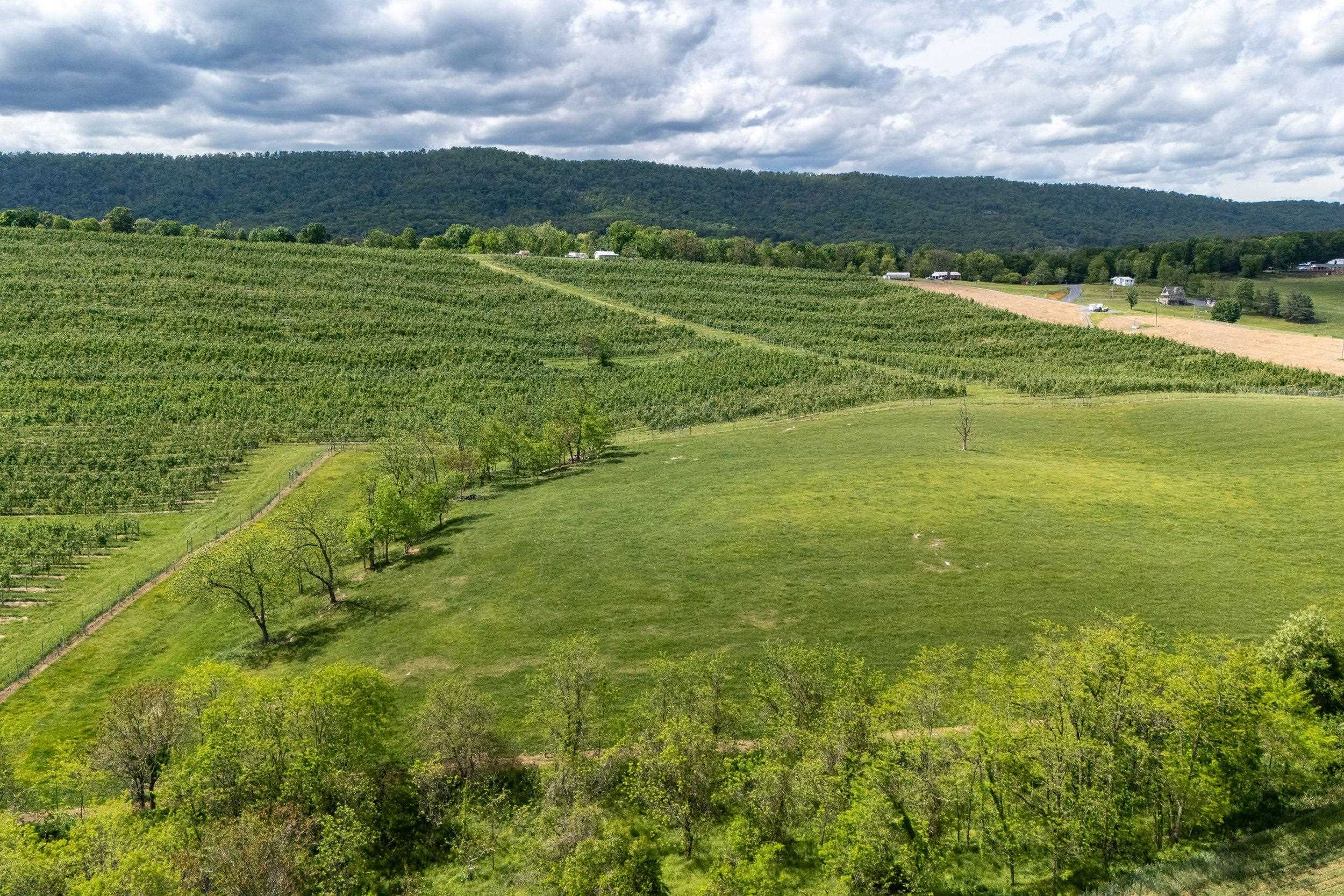 TBD VETTERS RD, TIMBERVILLE, Virginia 22853, ,Land,TBD VETTERS RD,664547 MLS # 664547