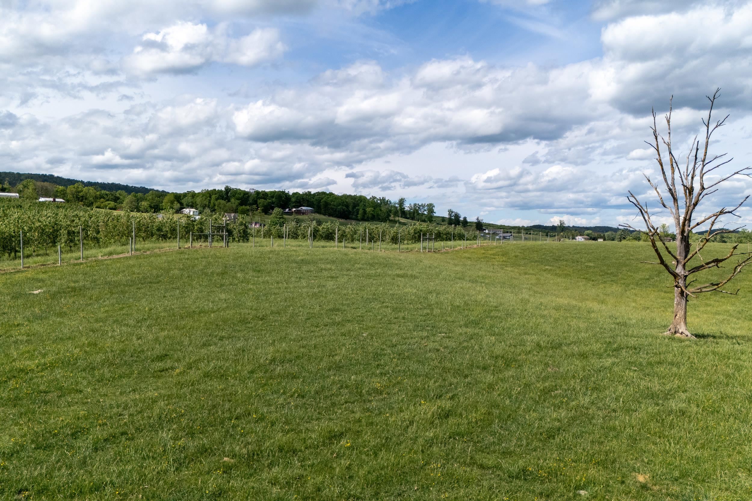 TBD VETTERS RD, TIMBERVILLE, Virginia 22853, ,Land,TBD VETTERS RD,664547 MLS # 664547