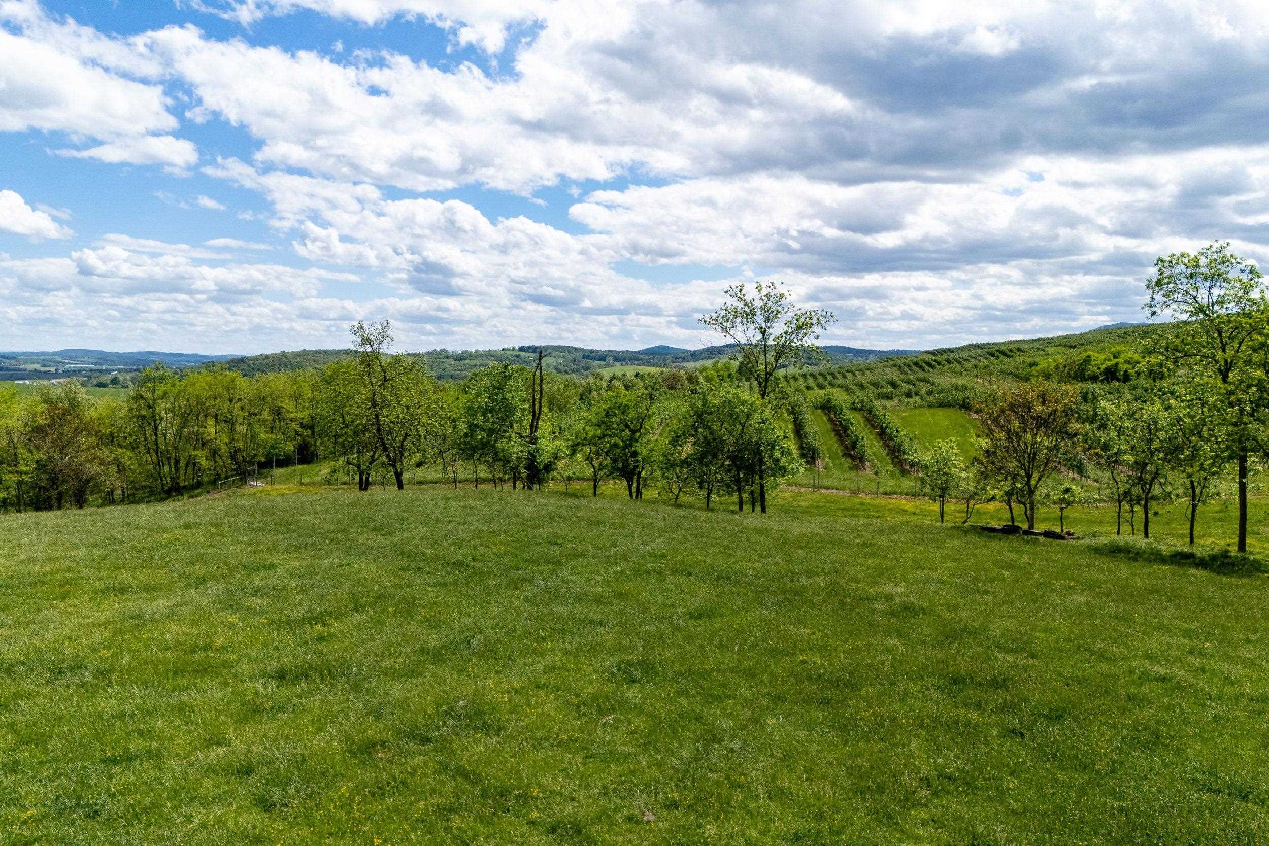 TBD VETTERS RD, TIMBERVILLE, Virginia 22853, ,Land,TBD VETTERS RD,664547 MLS # 664547