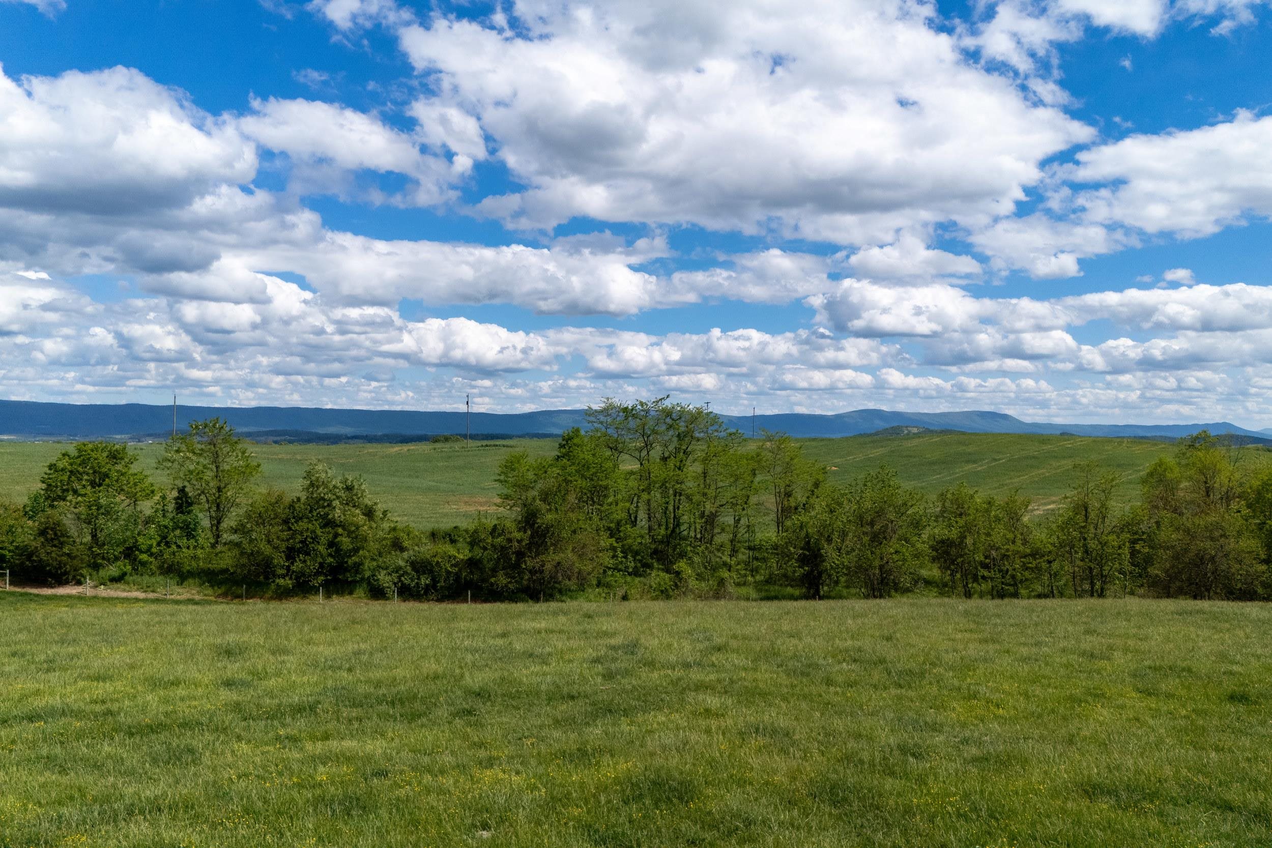 TBD VETTERS RD, TIMBERVILLE, Virginia 22853, ,Land,TBD VETTERS RD,664547 MLS # 664547