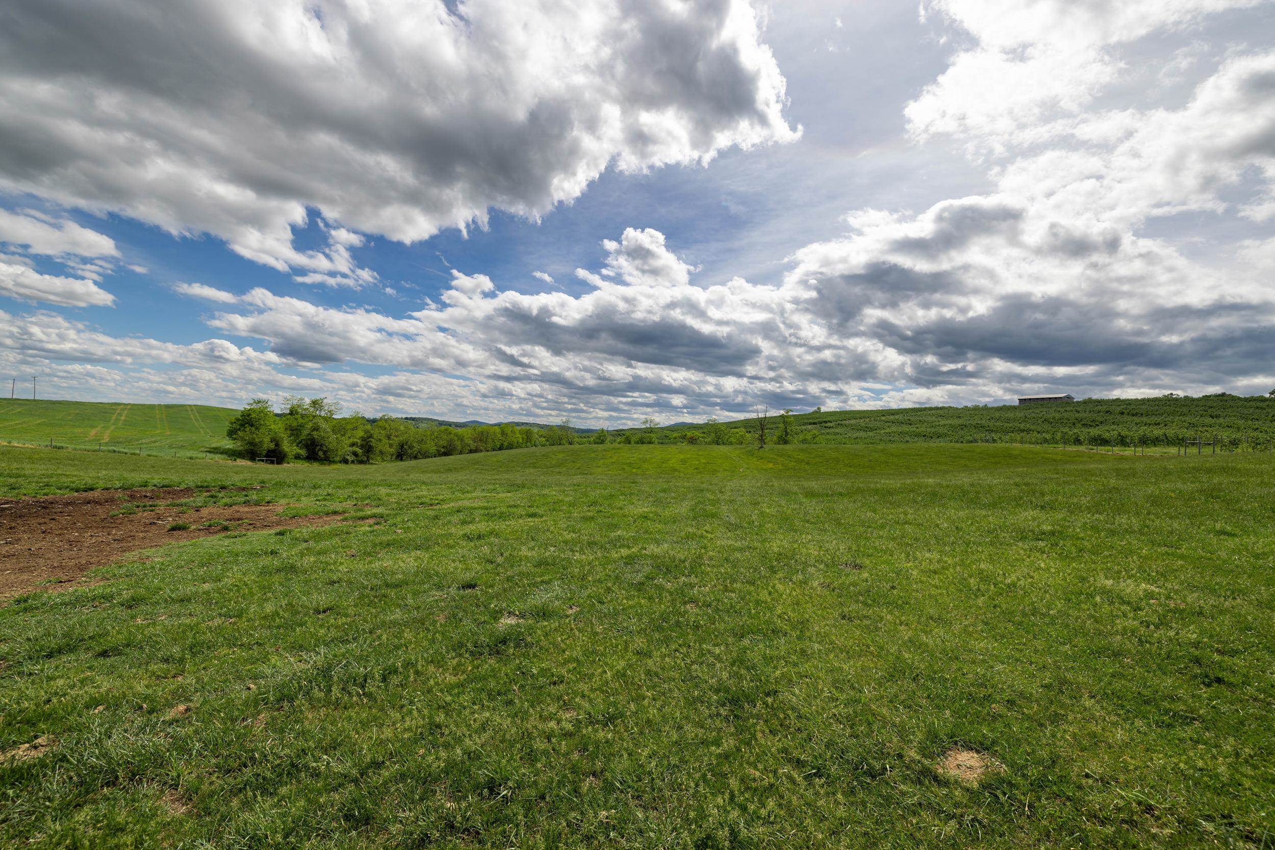 TBD VETTERS RD, TIMBERVILLE, Virginia 22853, ,Land,TBD VETTERS RD,664547 MLS # 664547