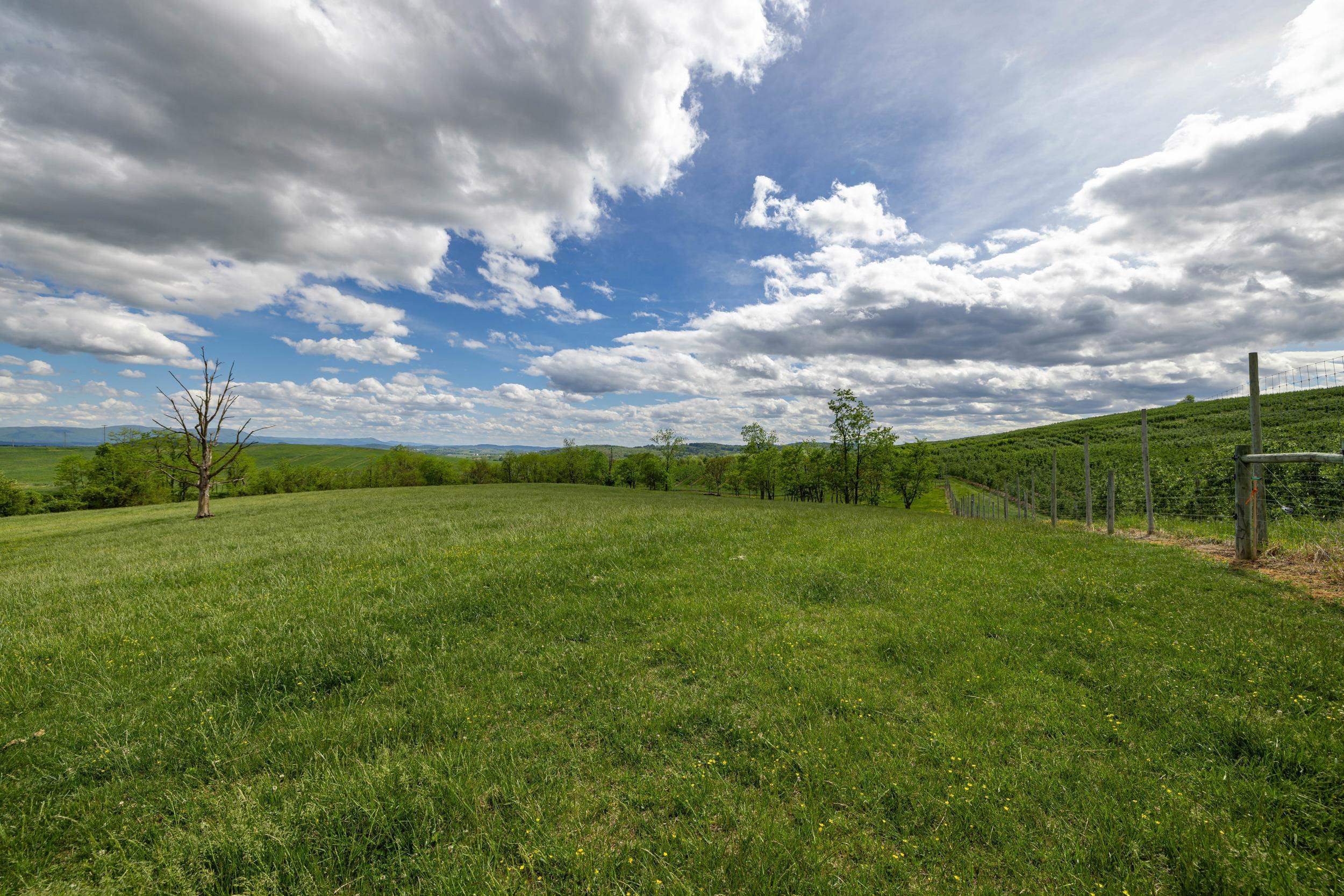 TBD VETTERS RD, TIMBERVILLE, Virginia 22853, ,Land,TBD VETTERS RD,664547 MLS # 664547