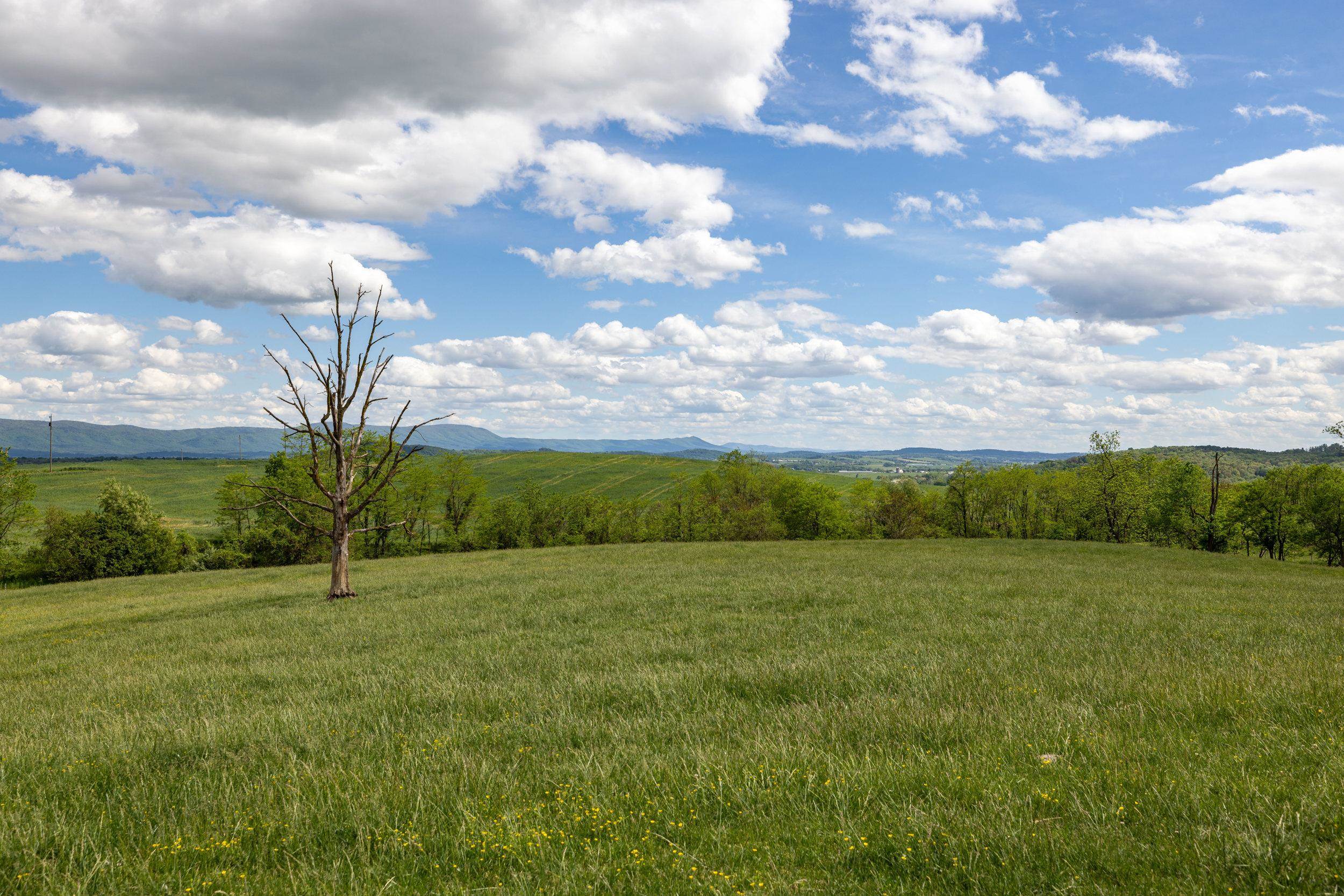 TBD VETTERS RD, TIMBERVILLE, Virginia 22853, ,Land,TBD VETTERS RD,664547 MLS # 664547