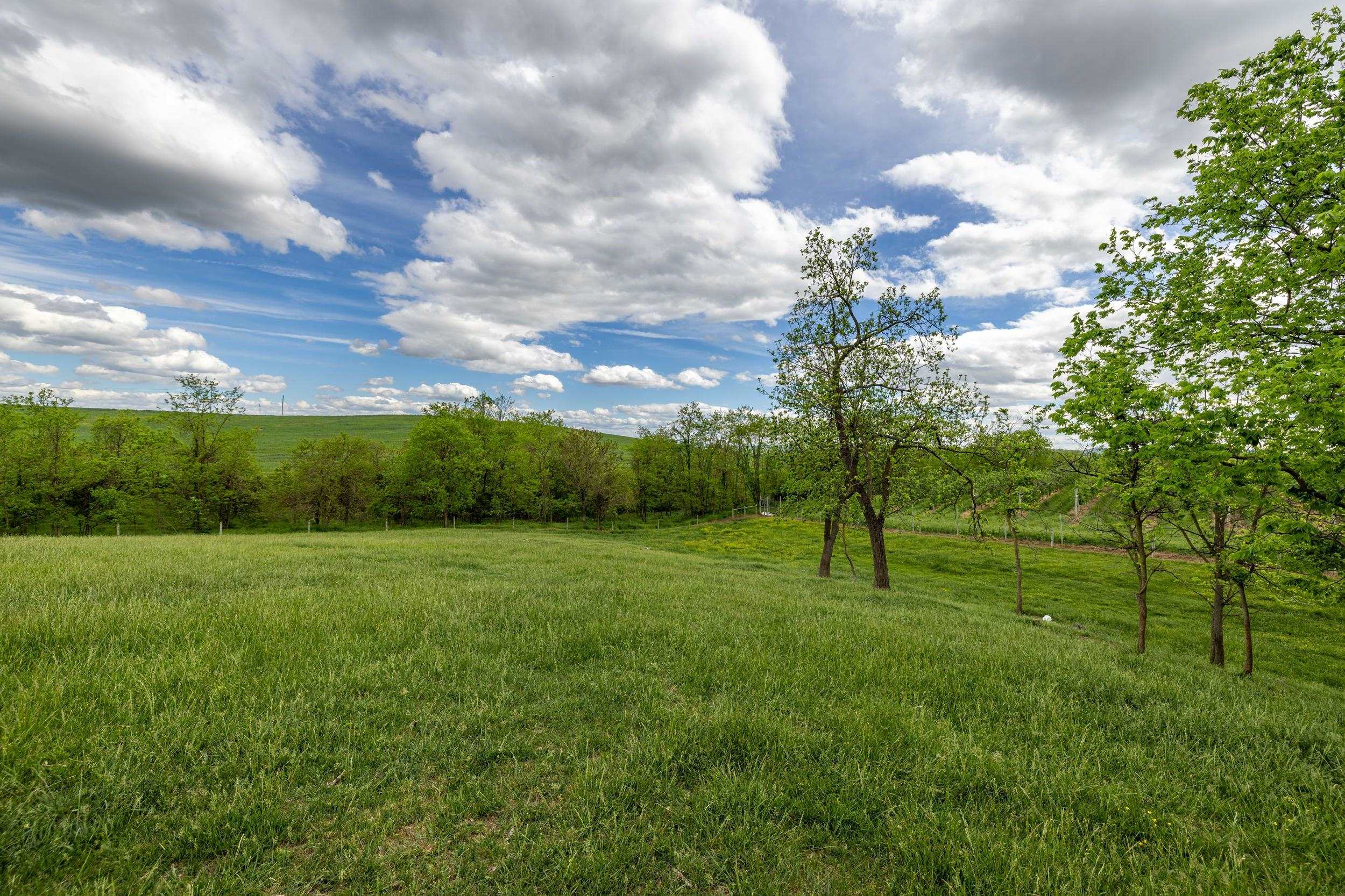 TBD VETTERS RD, TIMBERVILLE, Virginia 22853, ,Land,TBD VETTERS RD,664547 MLS # 664547