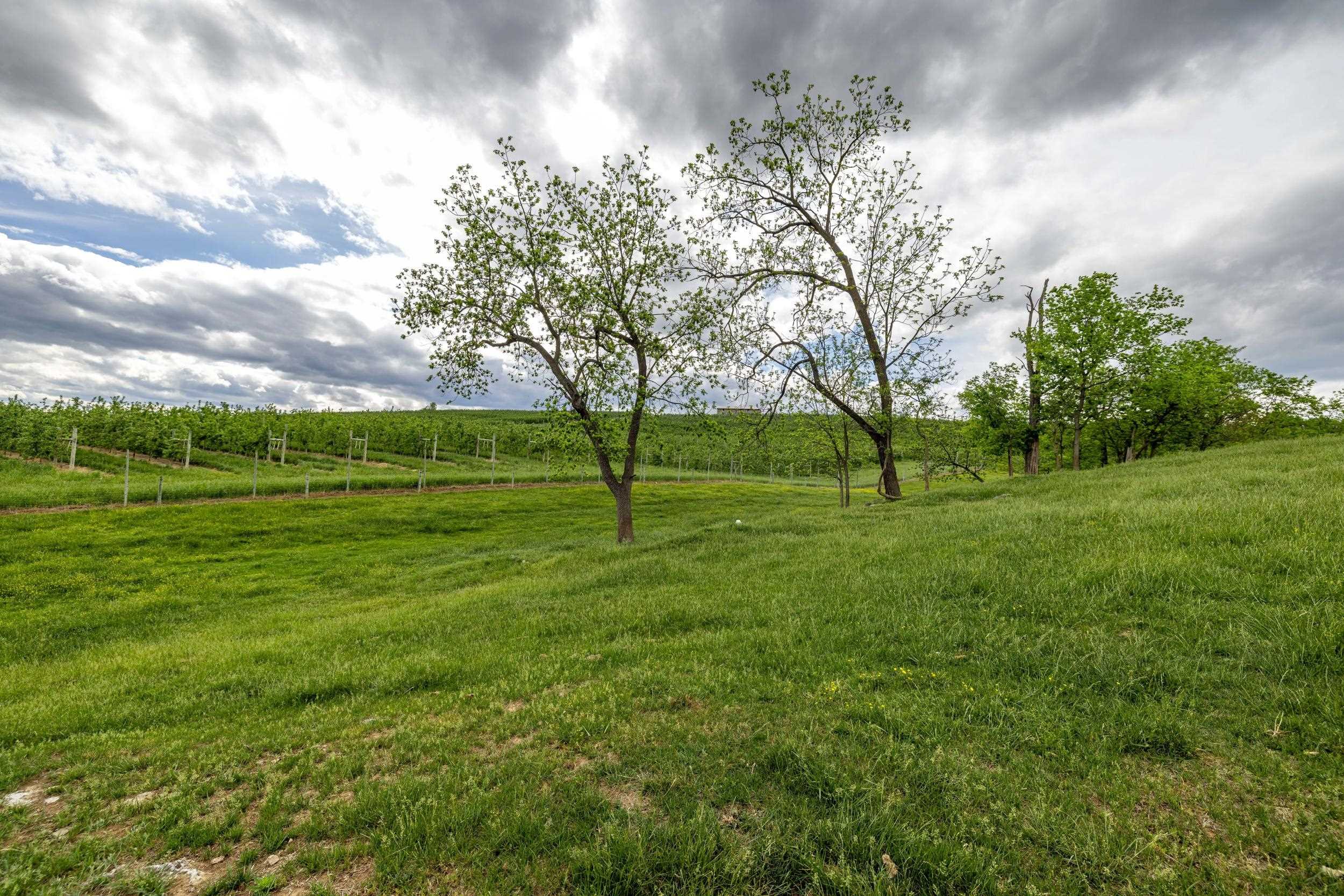 TBD VETTERS RD, TIMBERVILLE, Virginia 22853, ,Land,TBD VETTERS RD,664547 MLS # 664547