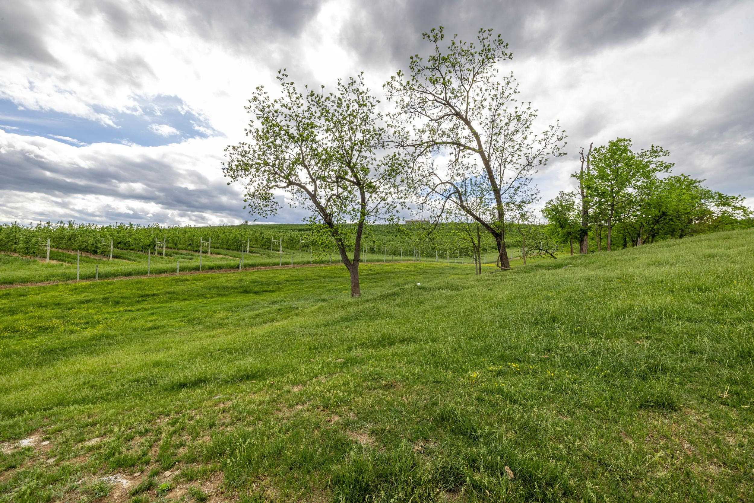 TBD VETTERS RD, TIMBERVILLE, Virginia 22853, ,Land,TBD VETTERS RD,664547 MLS # 664547