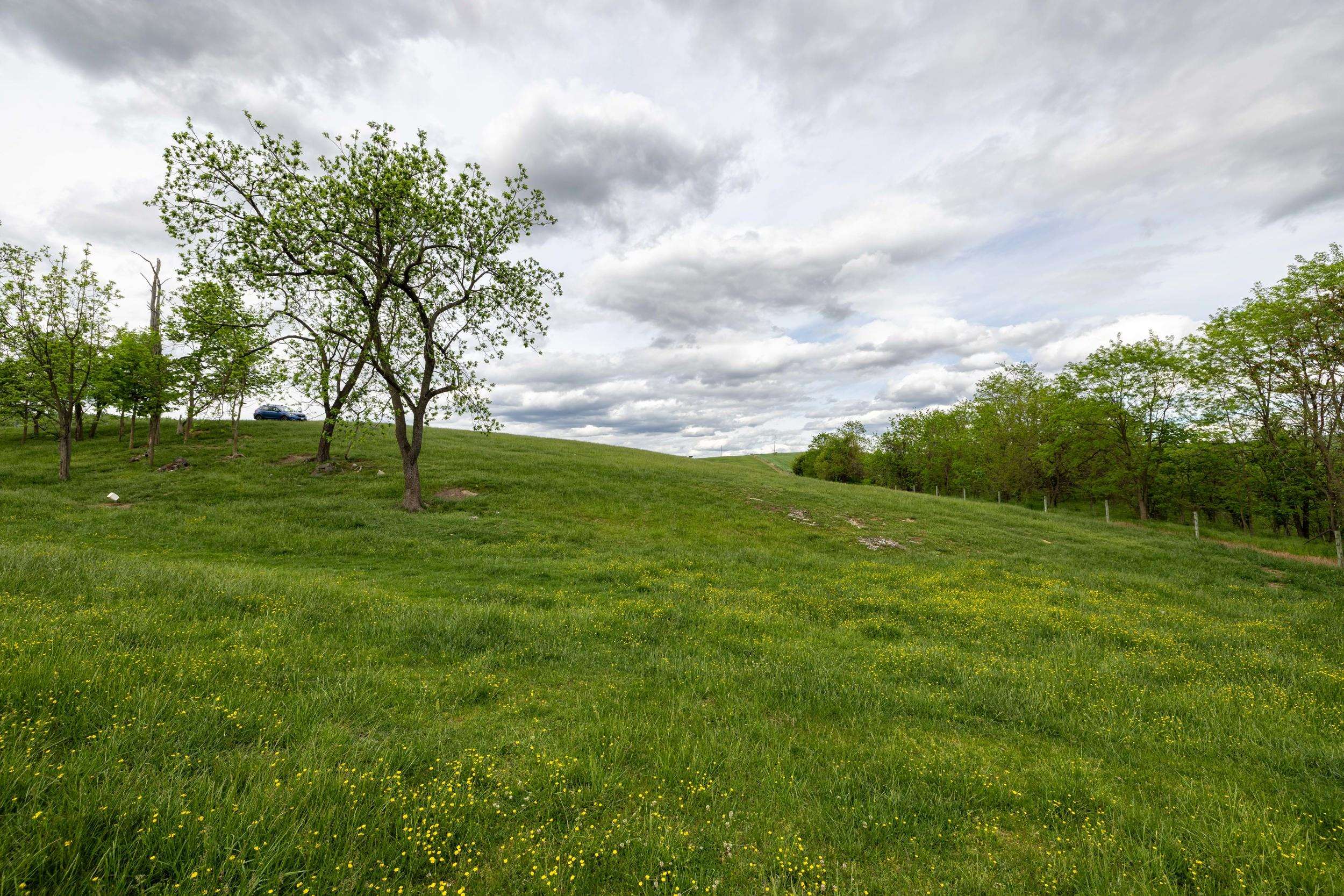 TBD VETTERS RD, TIMBERVILLE, Virginia 22853, ,Land,TBD VETTERS RD,664547 MLS # 664547