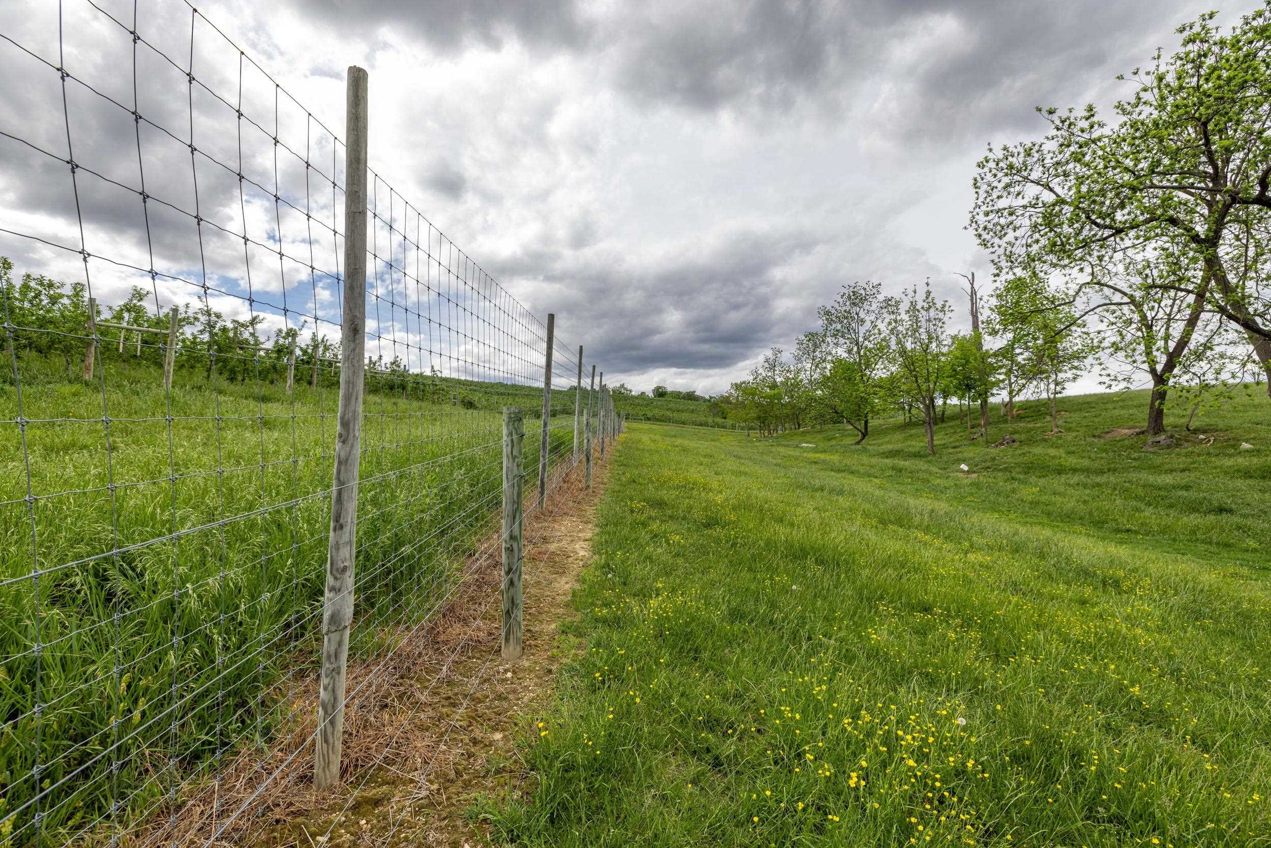 TBD VETTERS RD, TIMBERVILLE, Virginia 22853, ,Land,TBD VETTERS RD,664547 MLS # 664547