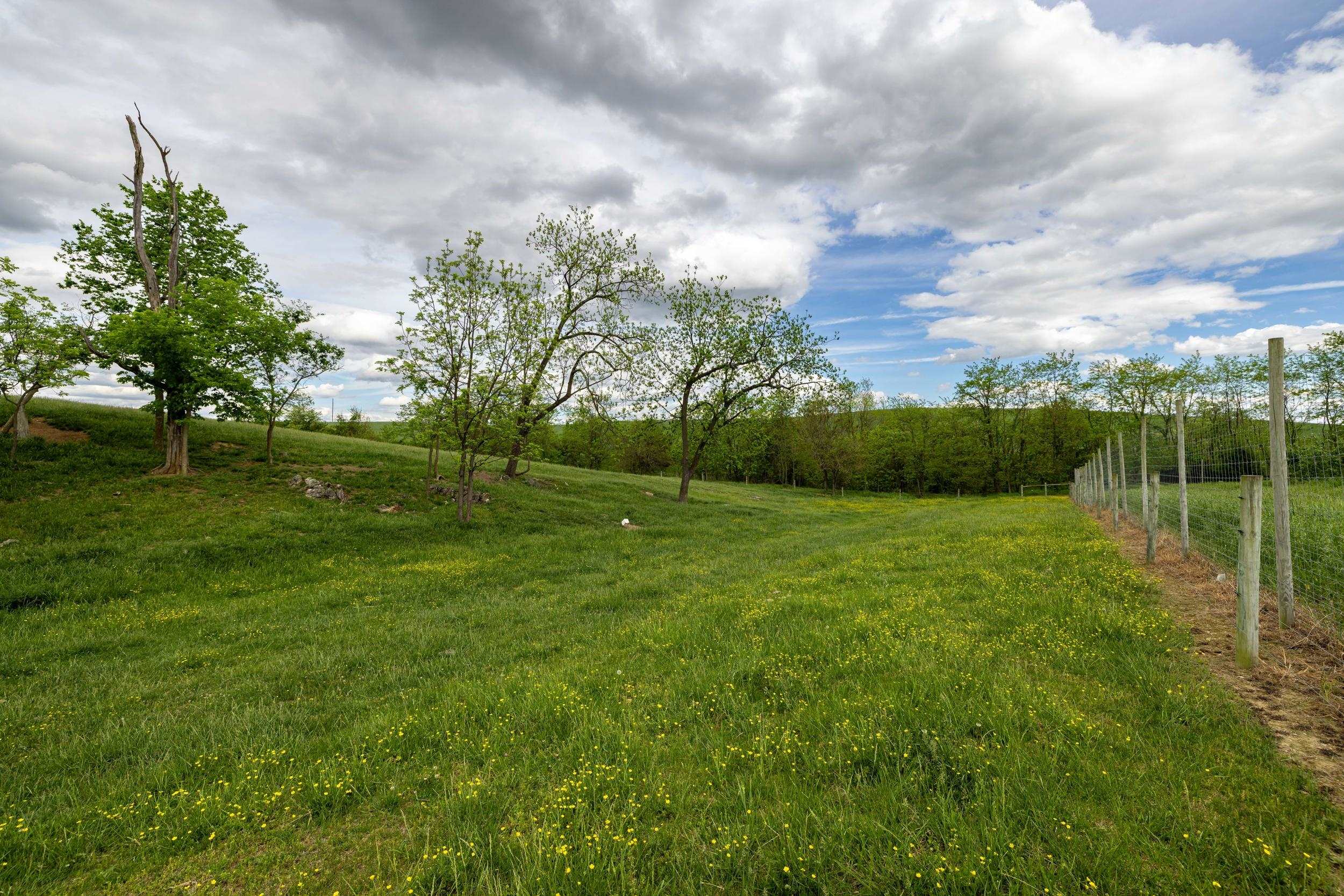 TBD VETTERS RD, TIMBERVILLE, Virginia 22853, ,Land,TBD VETTERS RD,664547 MLS # 664547