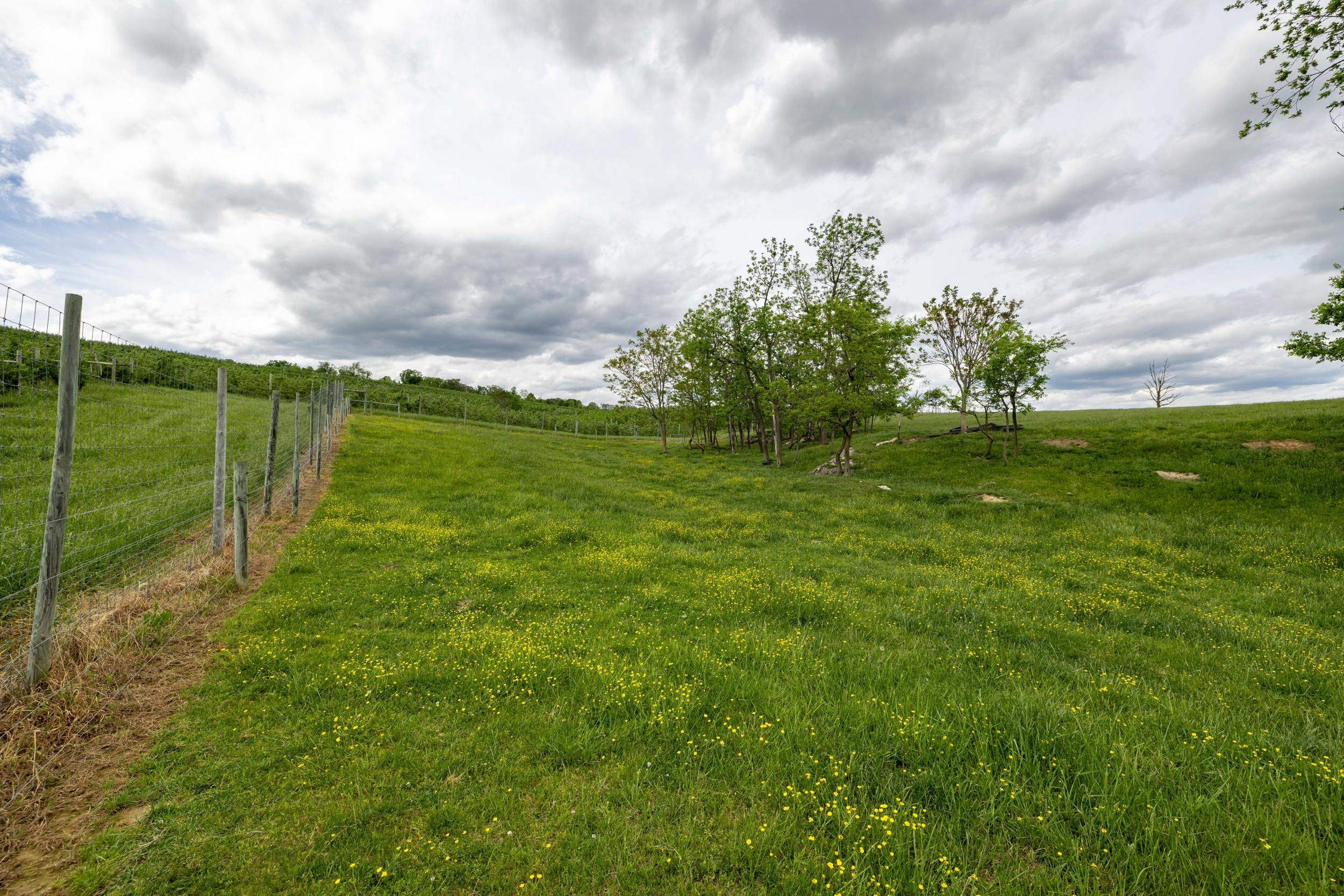 TBD VETTERS RD, TIMBERVILLE, Virginia 22853, ,Land,TBD VETTERS RD,664547 MLS # 664547