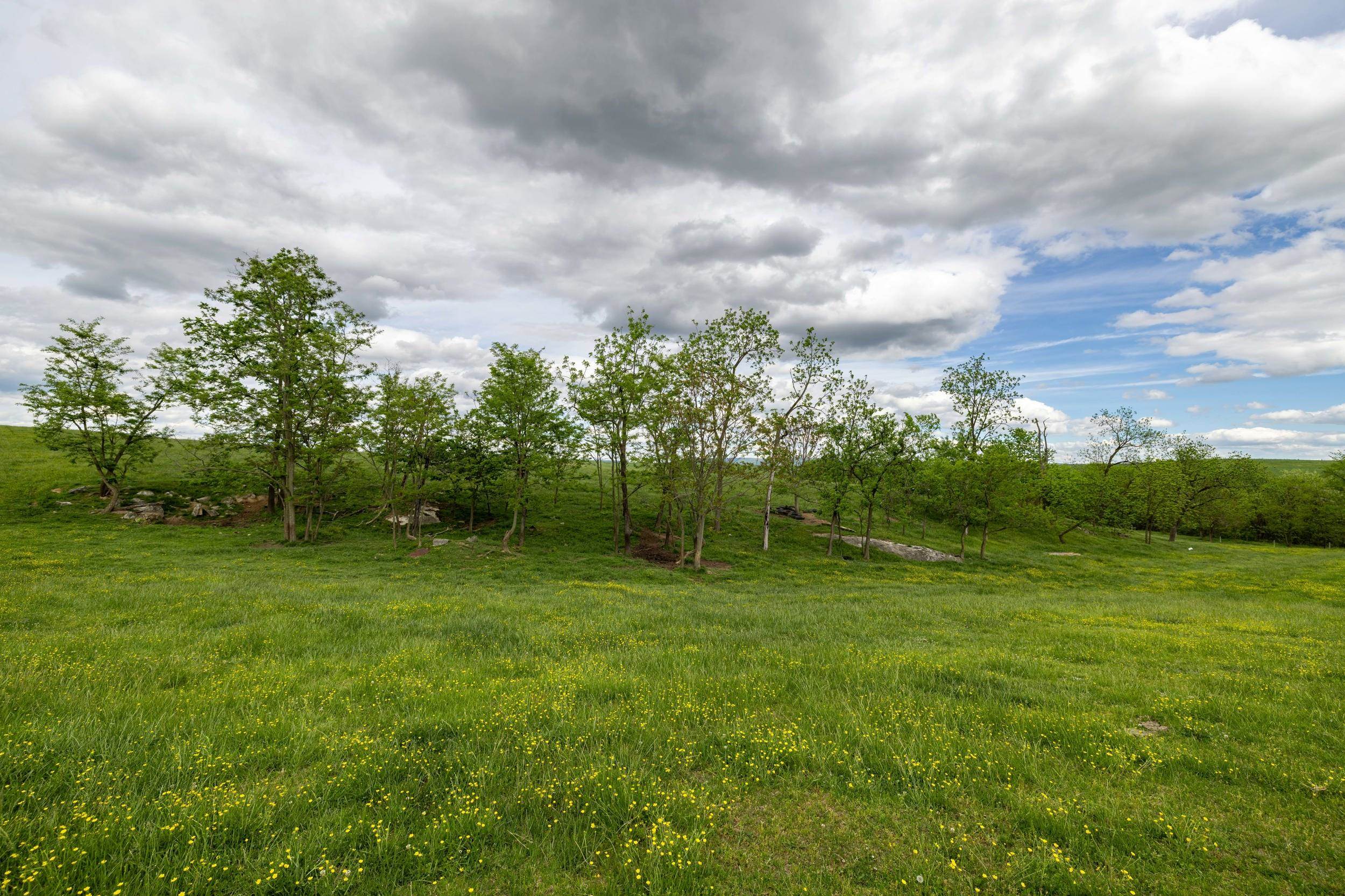 TBD VETTERS RD, TIMBERVILLE, Virginia 22853, ,Land,TBD VETTERS RD,664547 MLS # 664547