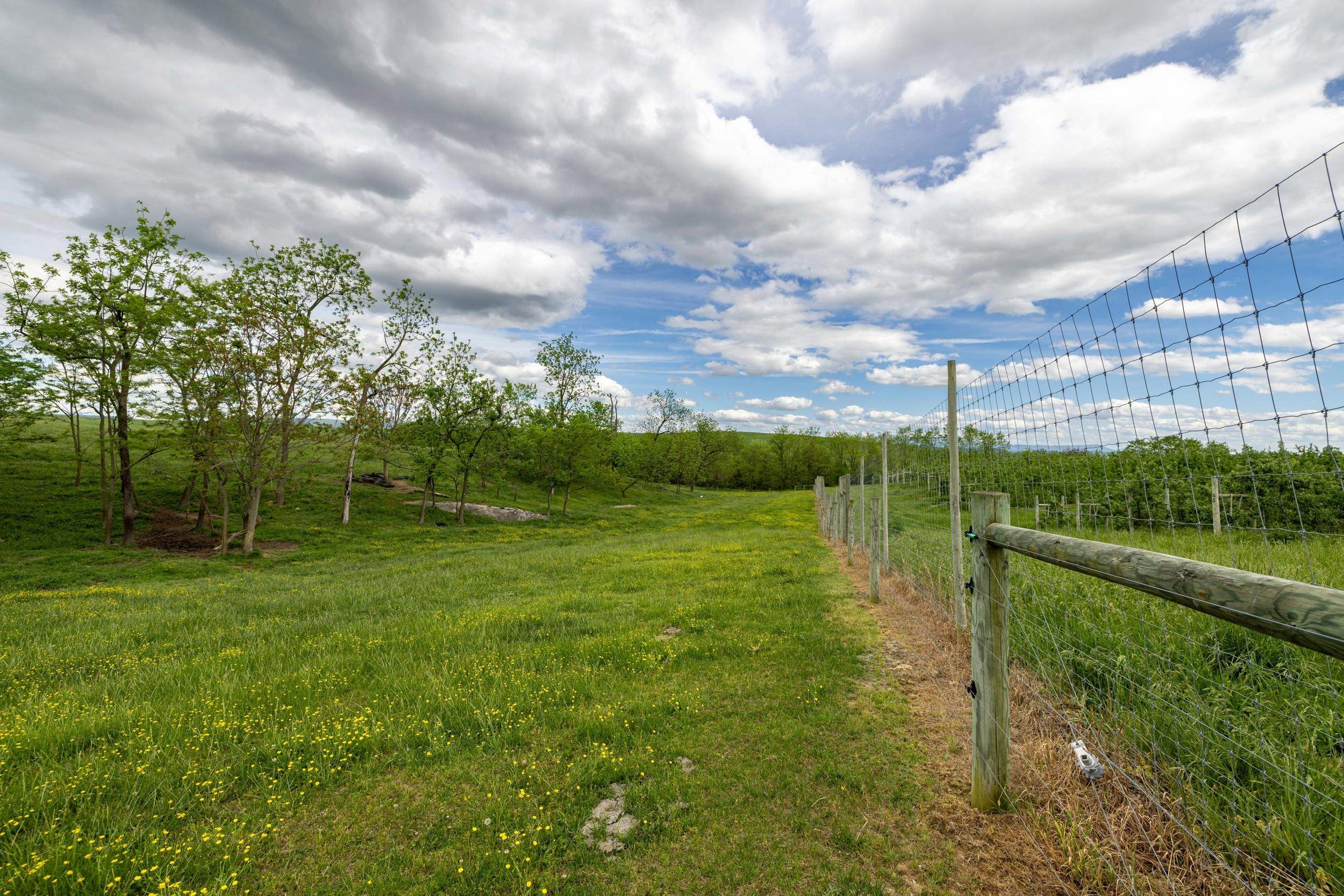 TBD VETTERS RD, TIMBERVILLE, Virginia 22853, ,Land,TBD VETTERS RD,664547 MLS # 664547