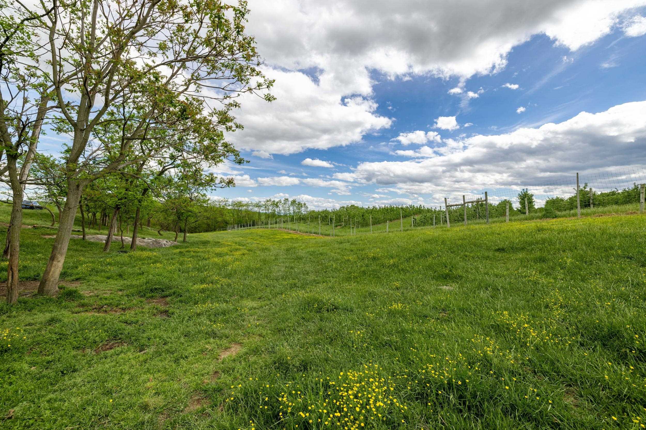 TBD VETTERS RD, TIMBERVILLE, Virginia 22853, ,Land,TBD VETTERS RD,664547 MLS # 664547