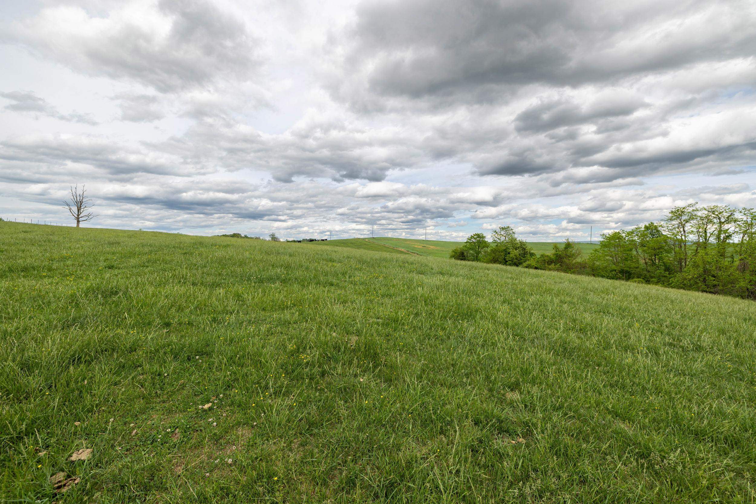 TBD VETTERS RD, TIMBERVILLE, Virginia 22853, ,Land,TBD VETTERS RD,664547 MLS # 664547