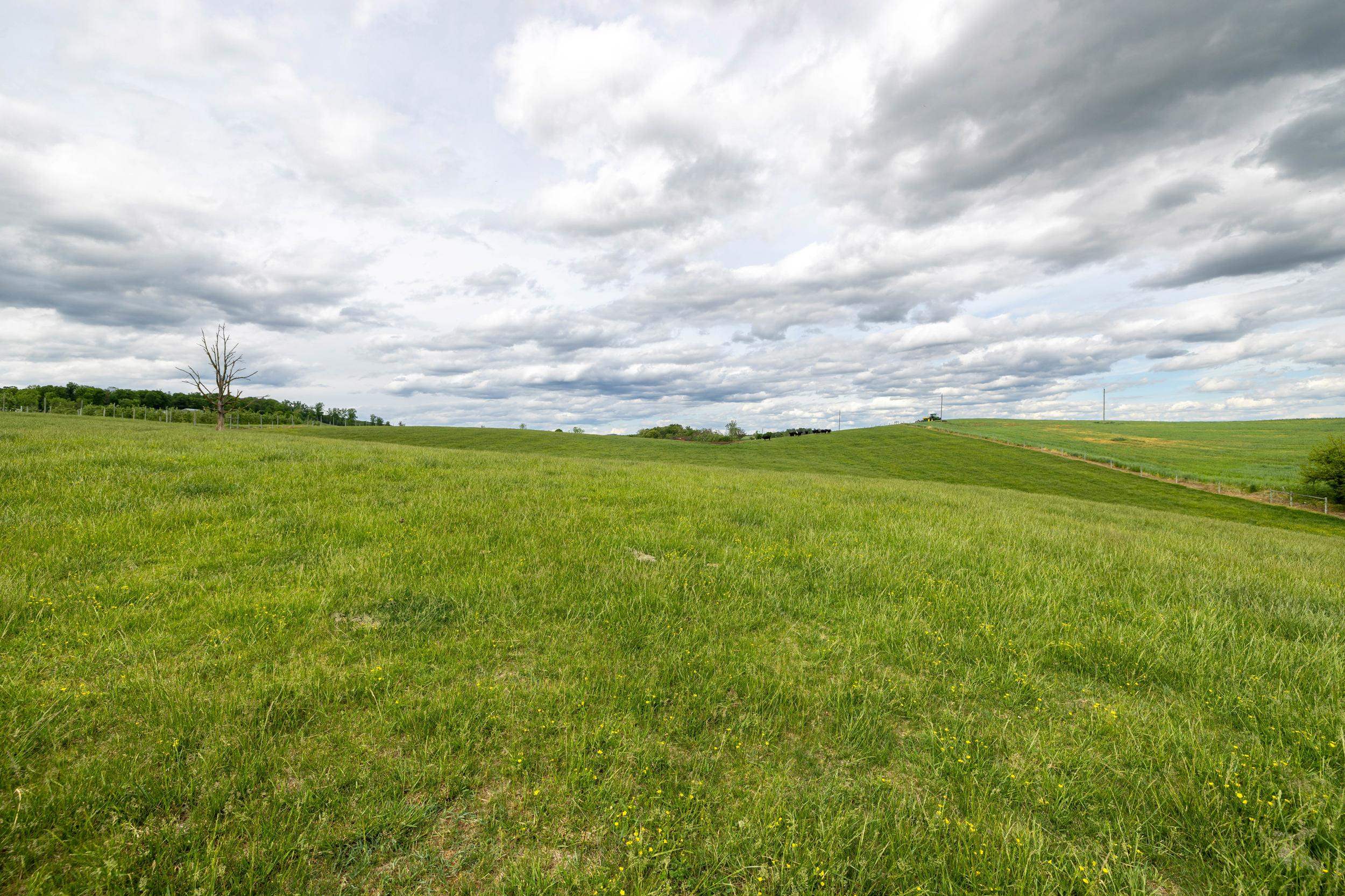 TBD VETTERS RD, TIMBERVILLE, Virginia 22853, ,Land,TBD VETTERS RD,664547 MLS # 664547