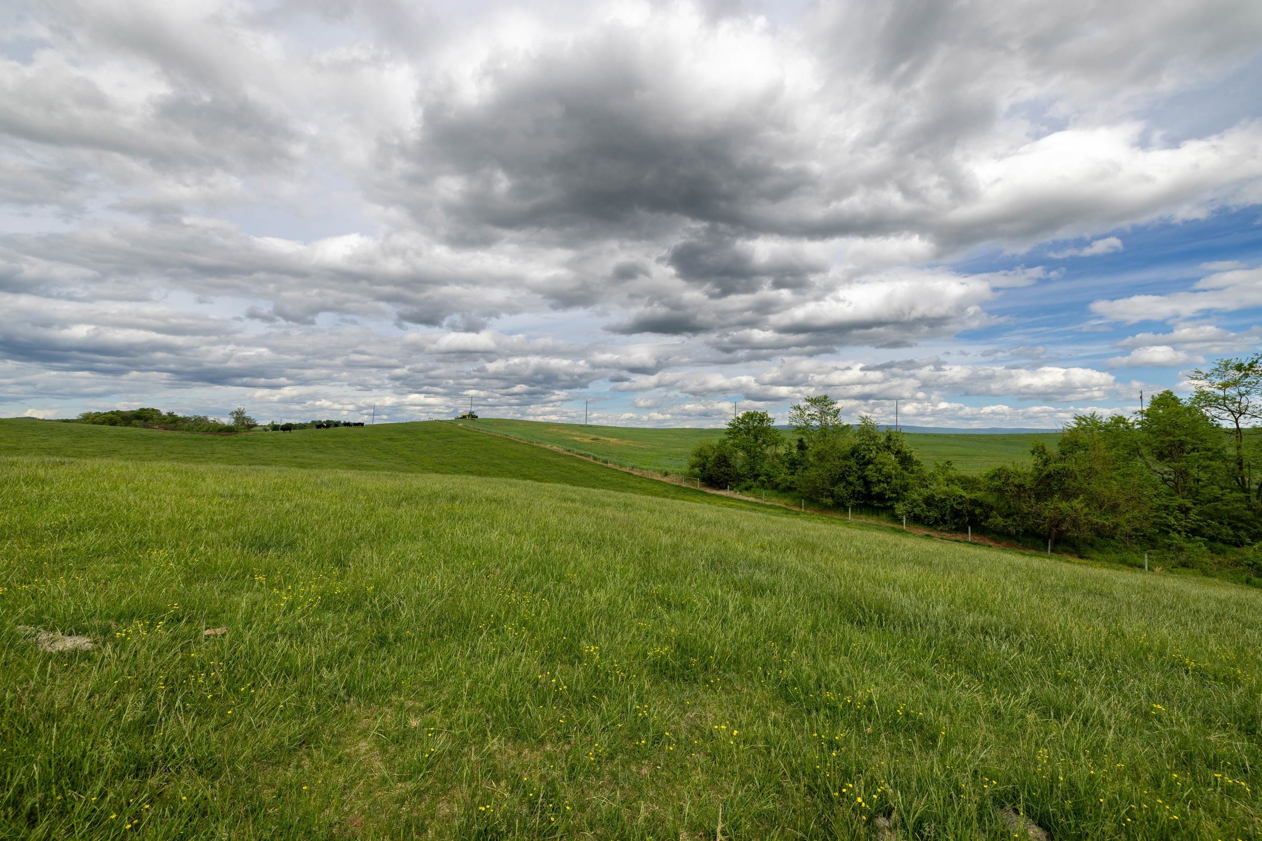 TBD VETTERS RD, TIMBERVILLE, Virginia 22853, ,Land,TBD VETTERS RD,664547 MLS # 664547