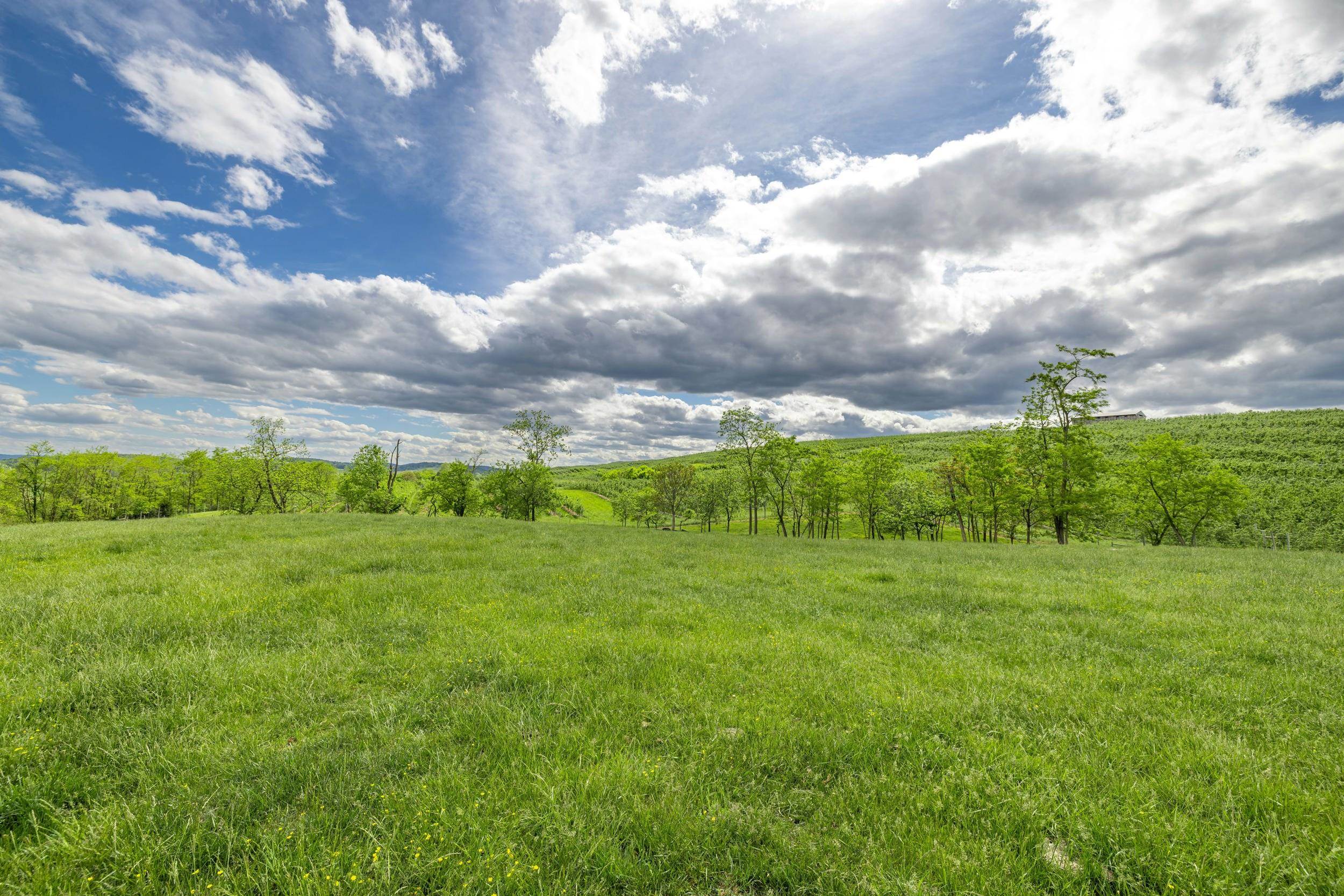 TBD VETTERS RD, TIMBERVILLE, Virginia 22853, ,Land,TBD VETTERS RD,664547 MLS # 664547