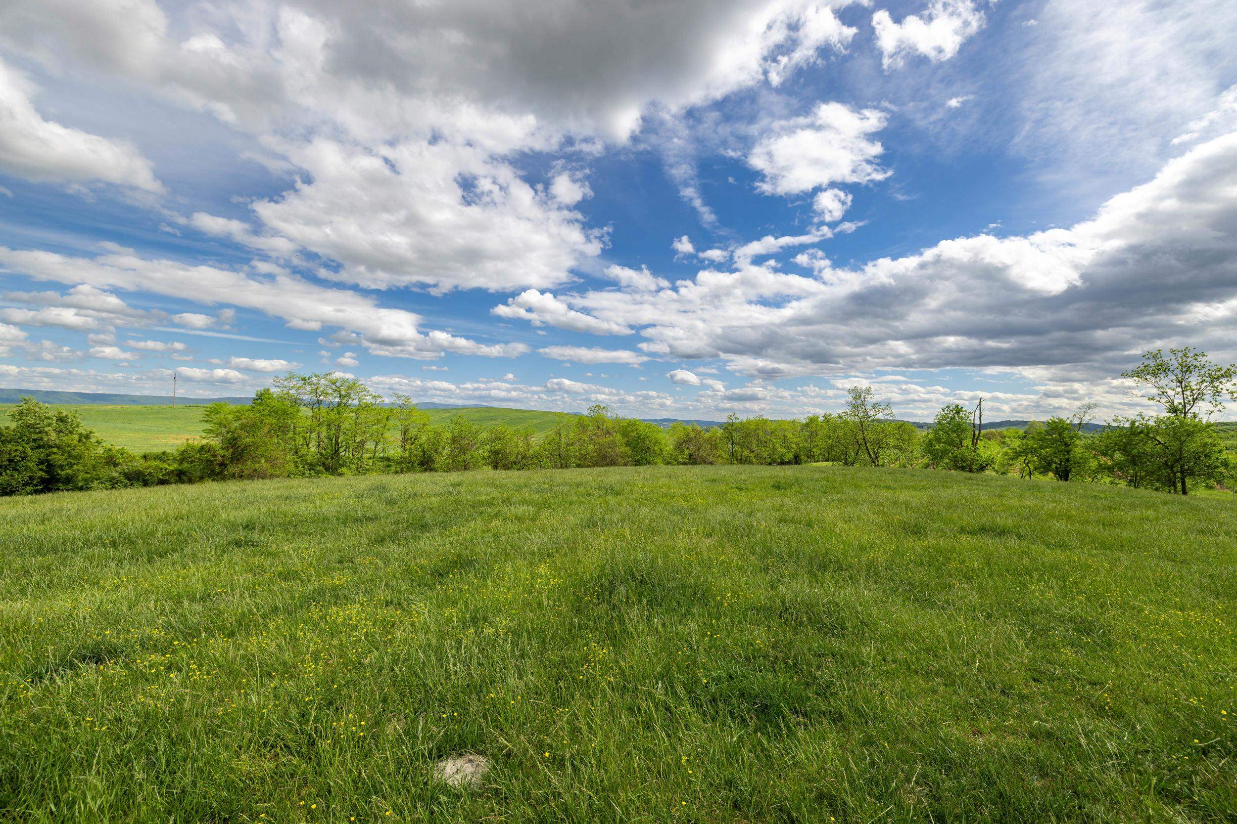 TBD VETTERS RD, TIMBERVILLE, Virginia 22853, ,Land,TBD VETTERS RD,664547 MLS # 664547