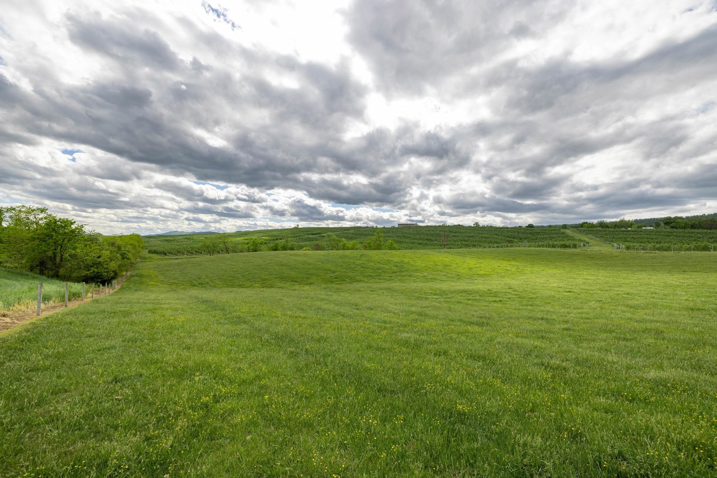 TBD VETTERS RD, TIMBERVILLE, Virginia 22853, ,Land,TBD VETTERS RD,664547 MLS # 664547