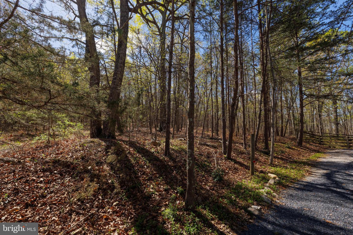 SHOTGUN SPRINGS, NEW MARKET, Virginia 22844, ,Land,For sale,SHOTGUN SPRINGS,VARO2002298 MLS # VARO2002298