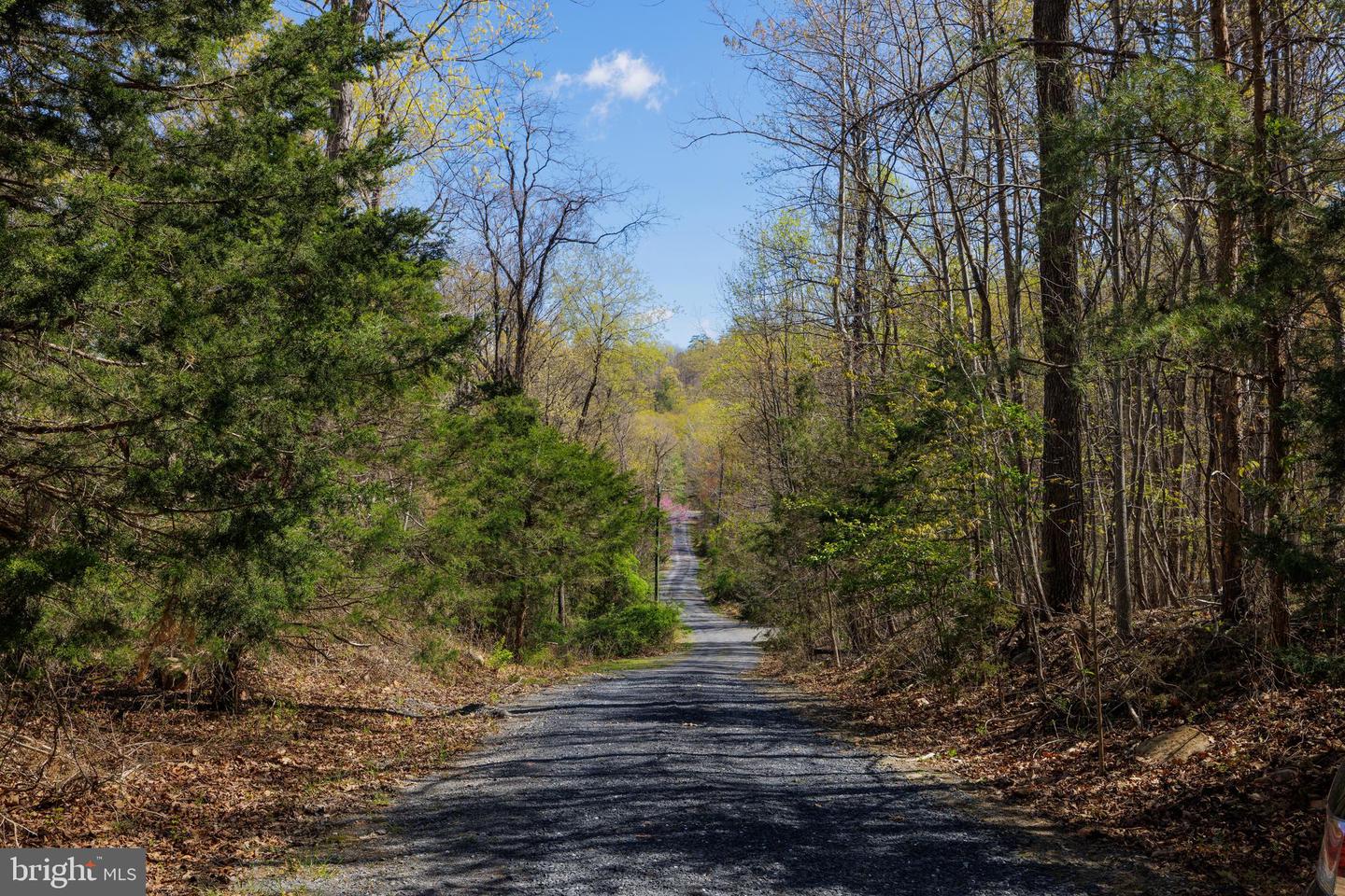 SHOTGUN SPRINGS, NEW MARKET, Virginia 22844, ,Land,For sale,SHOTGUN SPRINGS,VARO2002298 MLS # VARO2002298