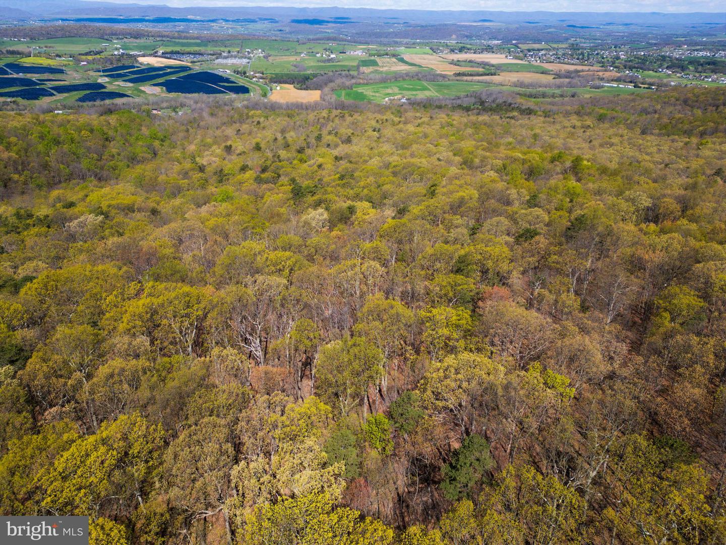 SHOTGUN SPRINGS, NEW MARKET, Virginia 22844, ,Land,For sale,SHOTGUN SPRINGS,VARO2002298 MLS # VARO2002298