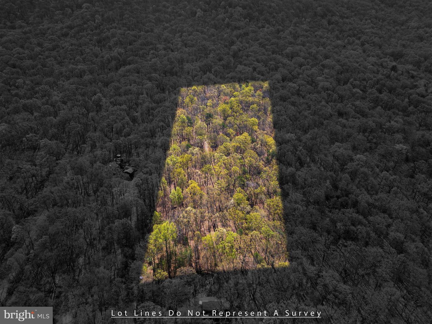 SHOTGUN SPRINGS, NEW MARKET, Virginia 22844, ,Land,For sale,SHOTGUN SPRINGS,VARO2002298 MLS # VARO2002298