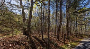 SHOTGUN SPRINGS, NEW MARKET, Virginia 22844, ,Land,For sale,SHOTGUN SPRINGS,VARO2002298 MLS # VARO2002298