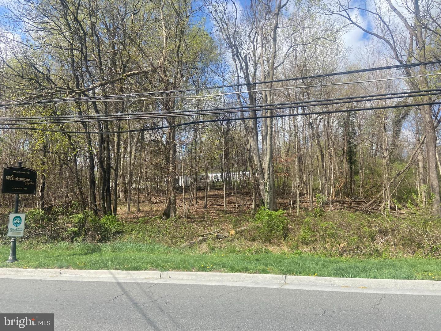 NORTH FREDERICK PIKE, WINCHESTER, Virginia 22601, ,Land,For sale,NORTH FREDERICK PIKE,VAWI2007698 MLS # VAWI2007698