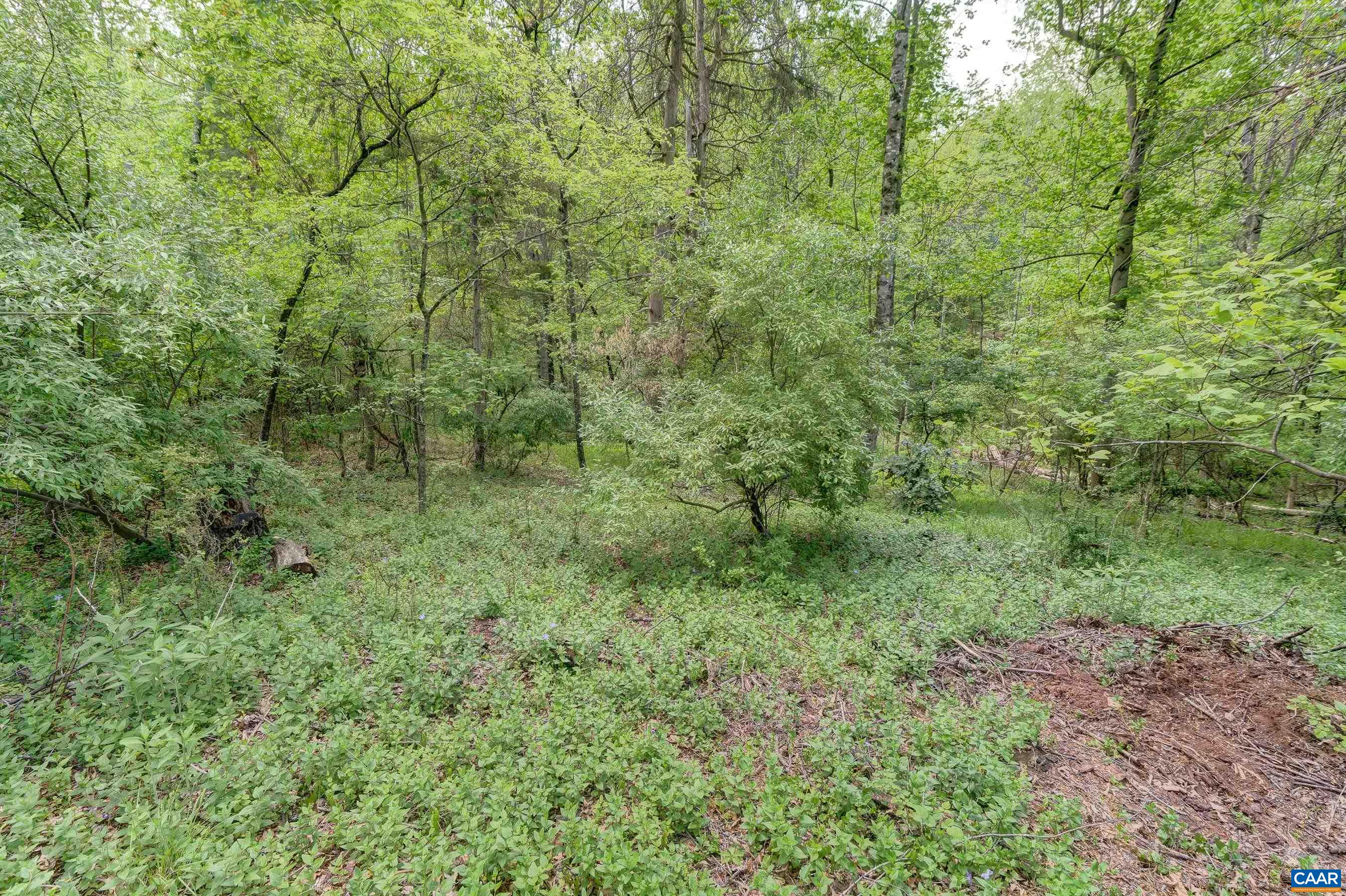 3665 COUNTRY LN, CHARLOTTESVILLE, Virginia 22901, 3 Bedrooms Bedrooms, ,2 BathroomsBathrooms,Residential,3665 COUNTRY LN,664506 MLS # 664506