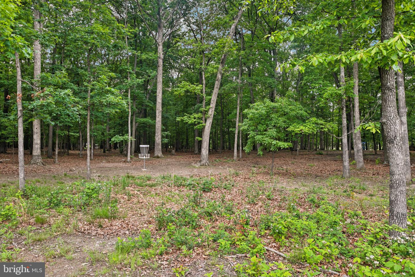 42089 SHINING STAR SQ, BRAMBLETON, Virginia 20148, 3 Bedrooms Bedrooms, ,2 BathroomsBathrooms,Residential,For sale,42089 SHINING STAR SQ,VALO2096018 MLS # VALO2096018